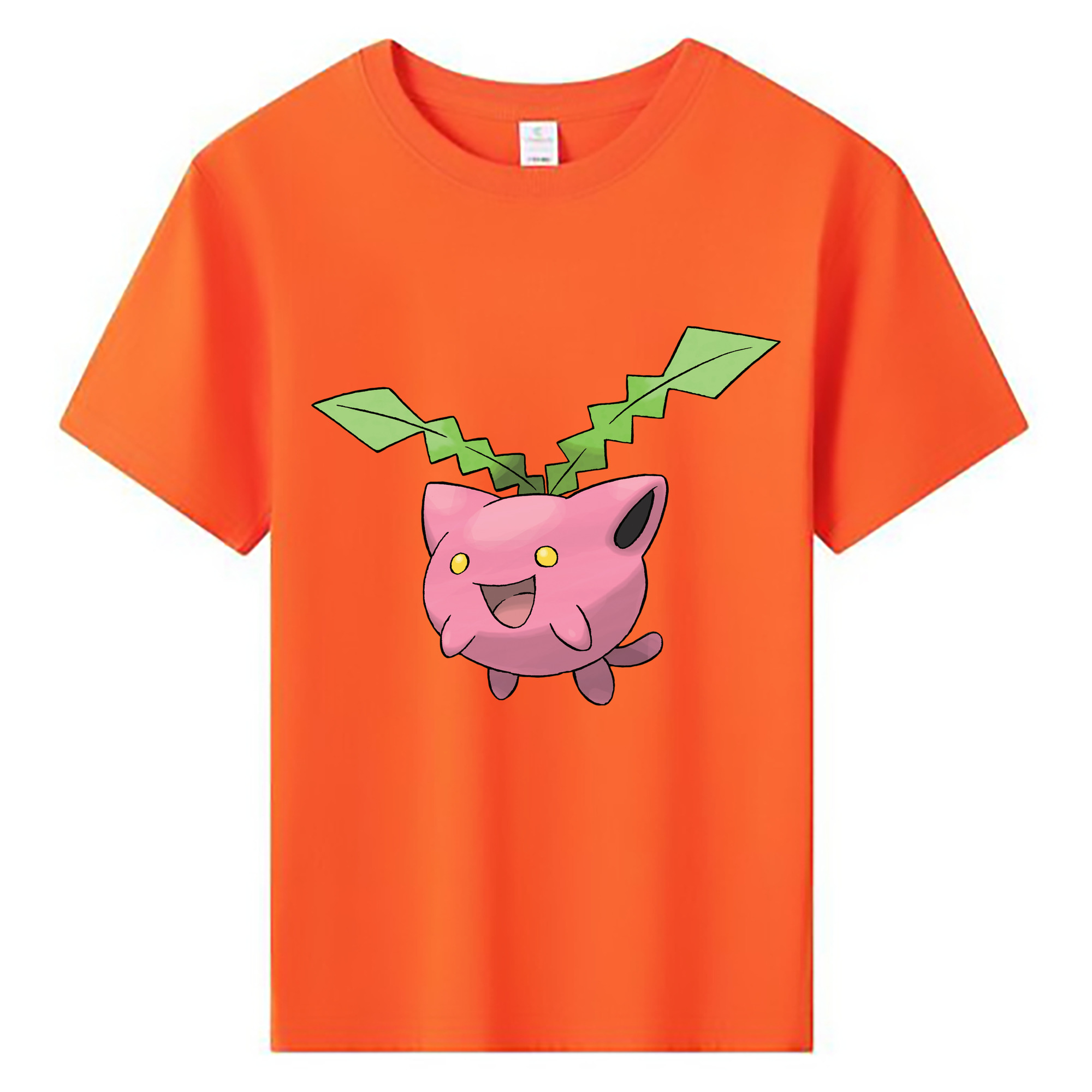 （画像用） ポケットモンスター Pokémon 綿100％キッズTシャツ（フロントプリント）