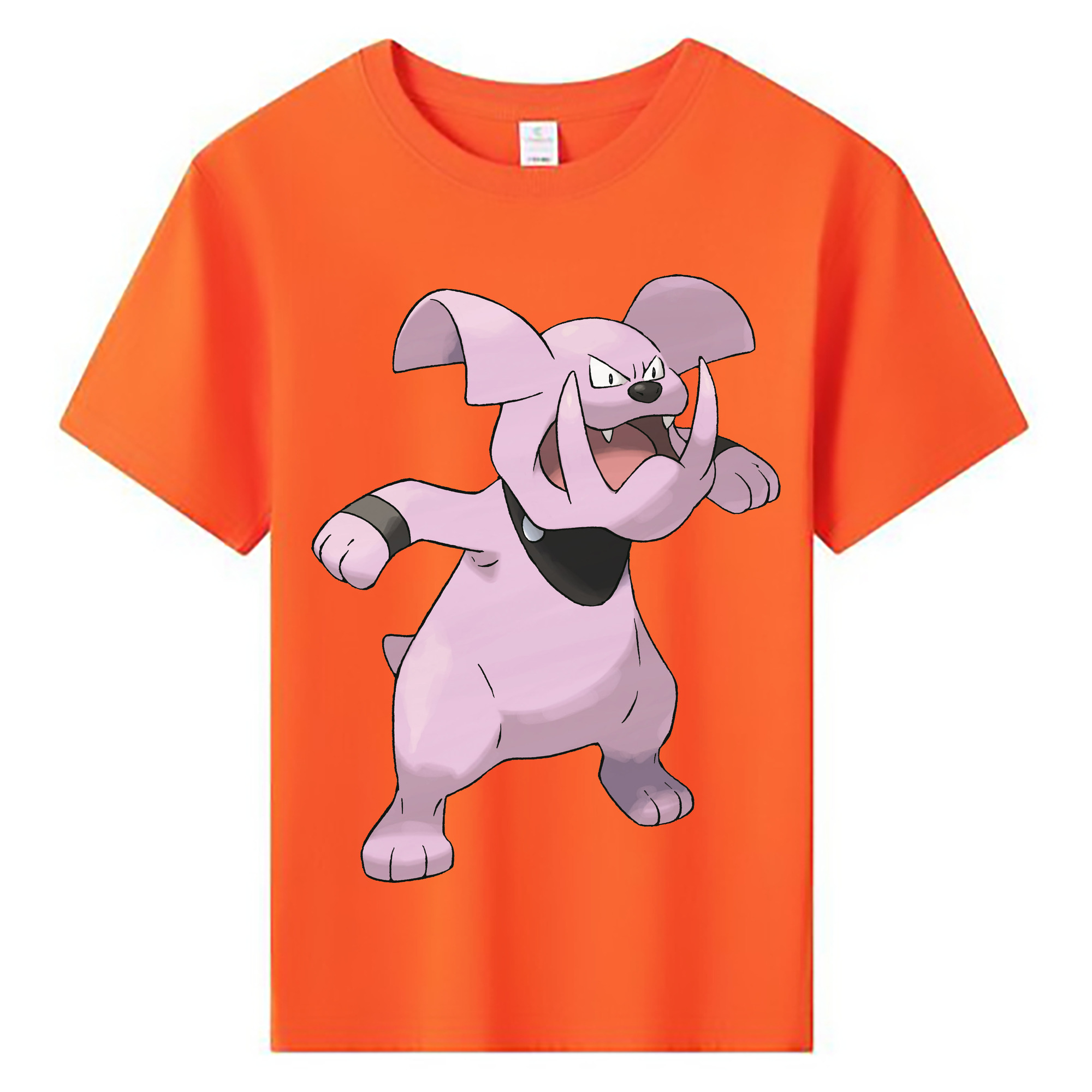 （画像用） ポケットモンスター Pokémon 綿100％キッズTシャツ（フロントプリント）