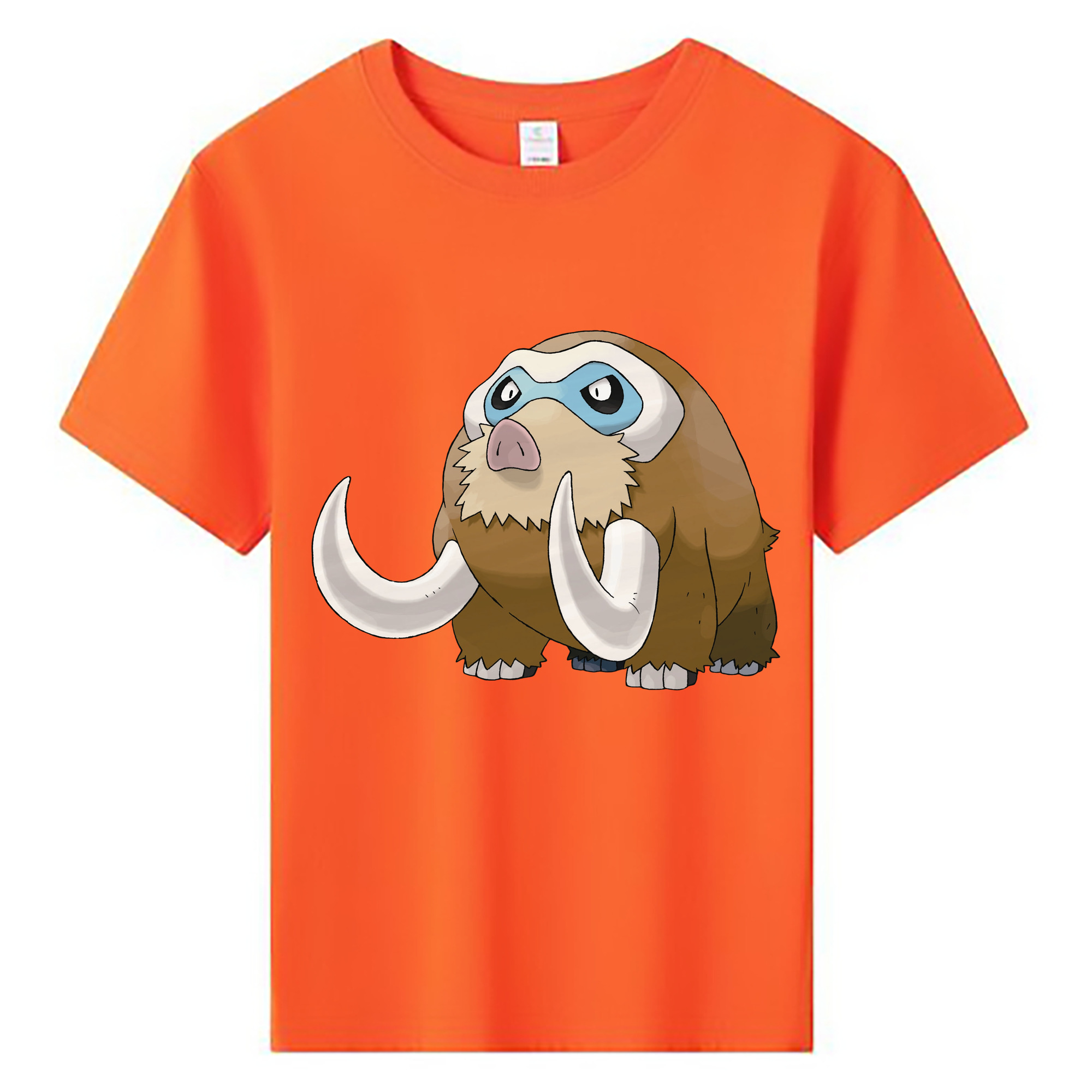 （画像用） ポケットモンスター Pokémon 綿100％キッズTシャツ（フロントプリント）