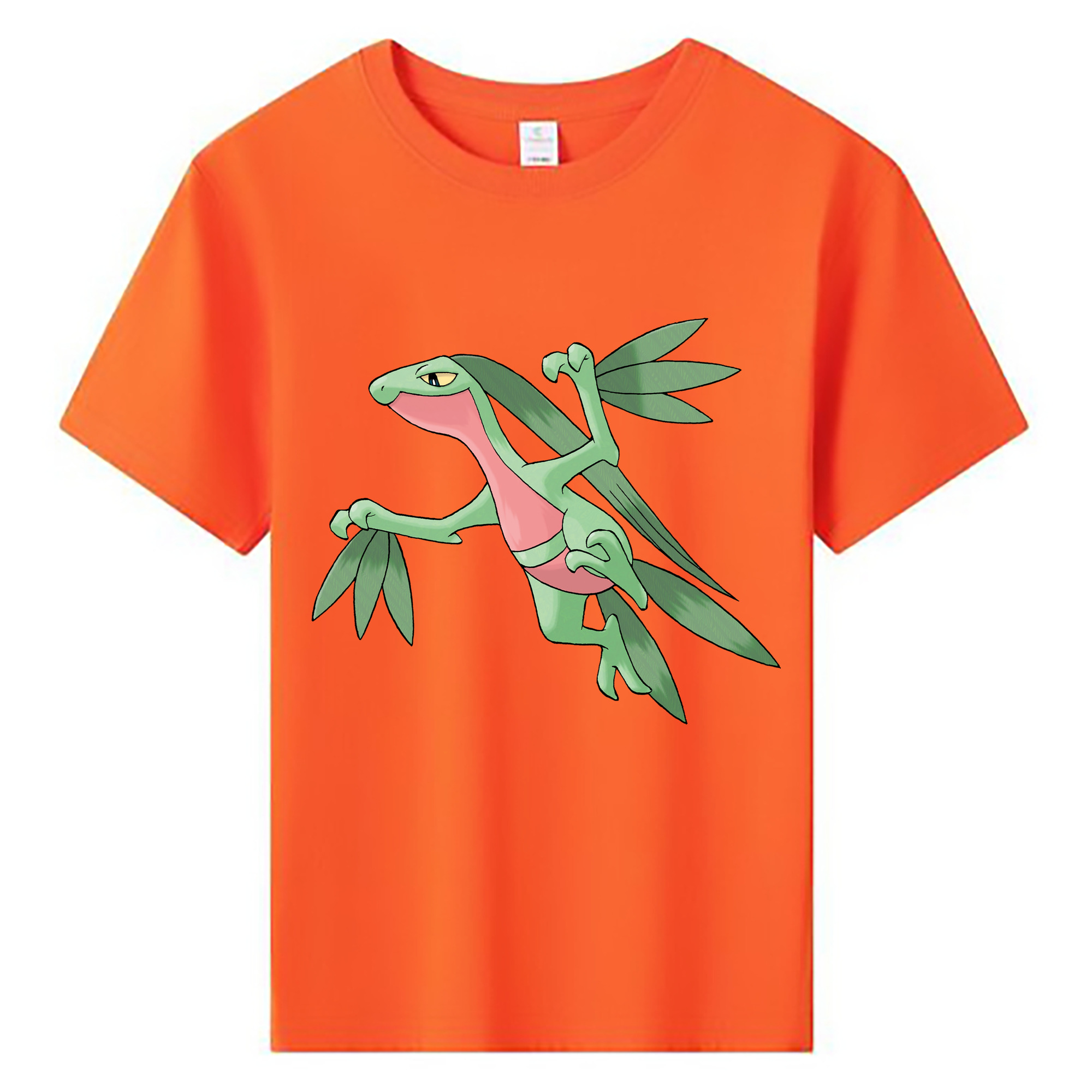 （画像用） ポケットモンスター Pokémon 綿100％キッズTシャツ（フロントプリント）