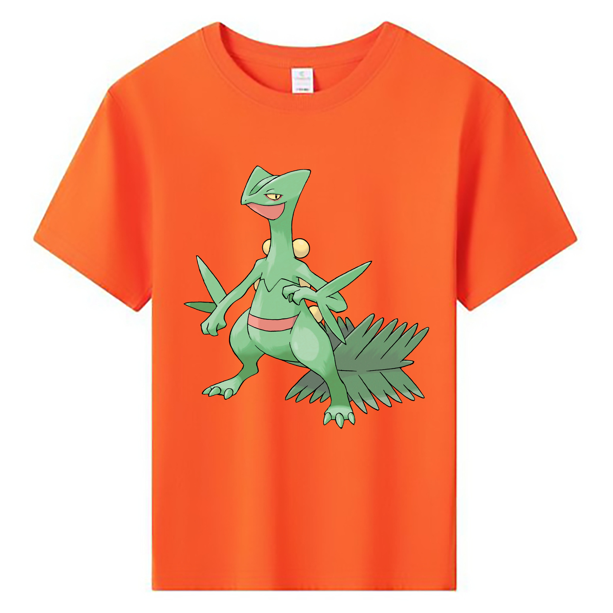 （画像用） ポケットモンスター Pokémon 綿100％キッズTシャツ（フロントプリント）