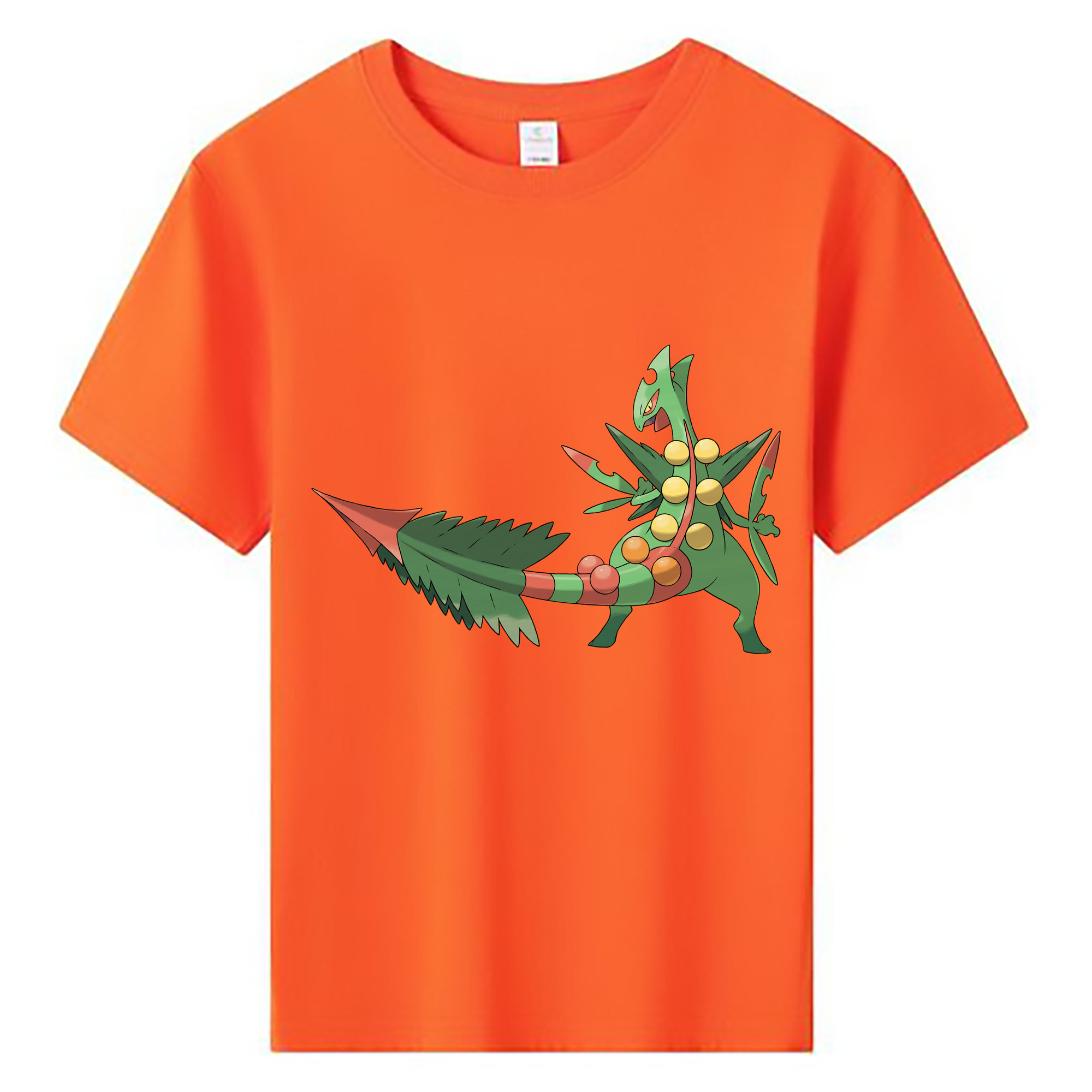 （画像用） ポケットモンスター Pokémon 綿100％キッズTシャツ（フロントプリント）