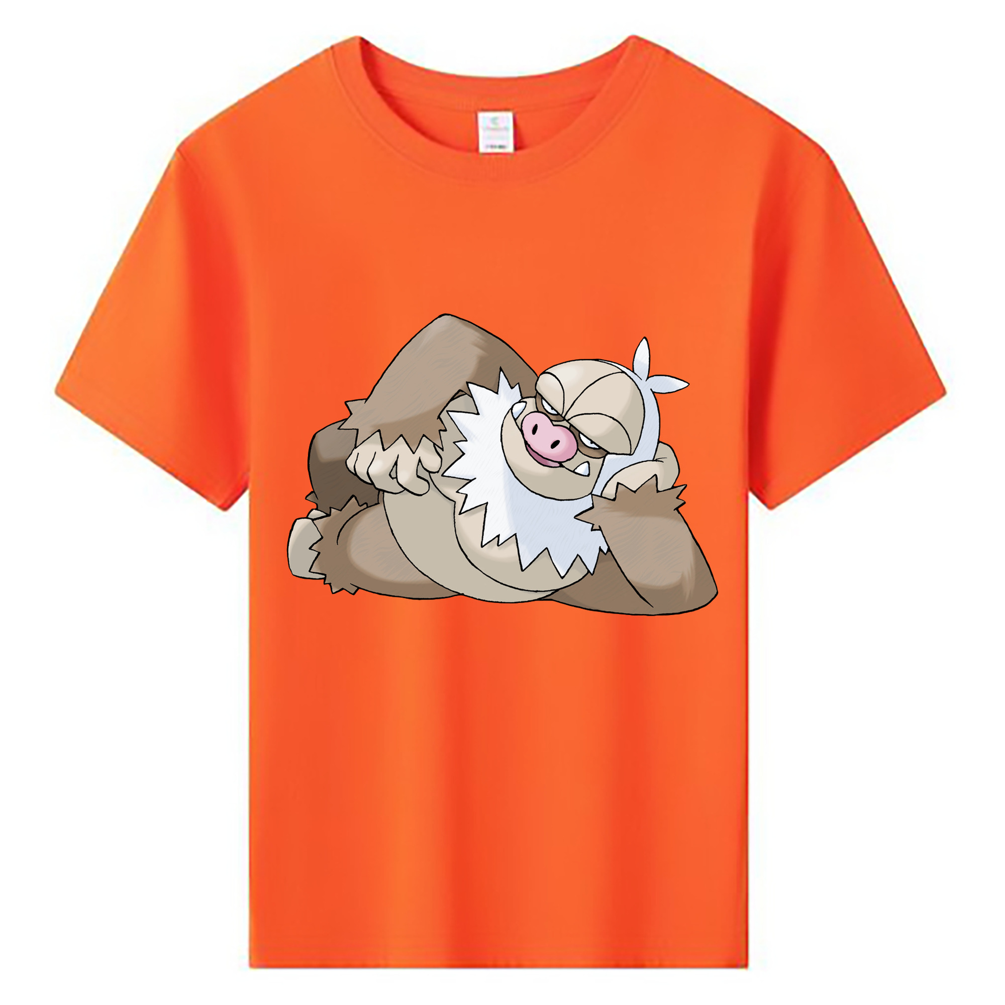 （画像用） ポケットモンスター Pokémon 綿100％キッズTシャツ（フロントプリント）
