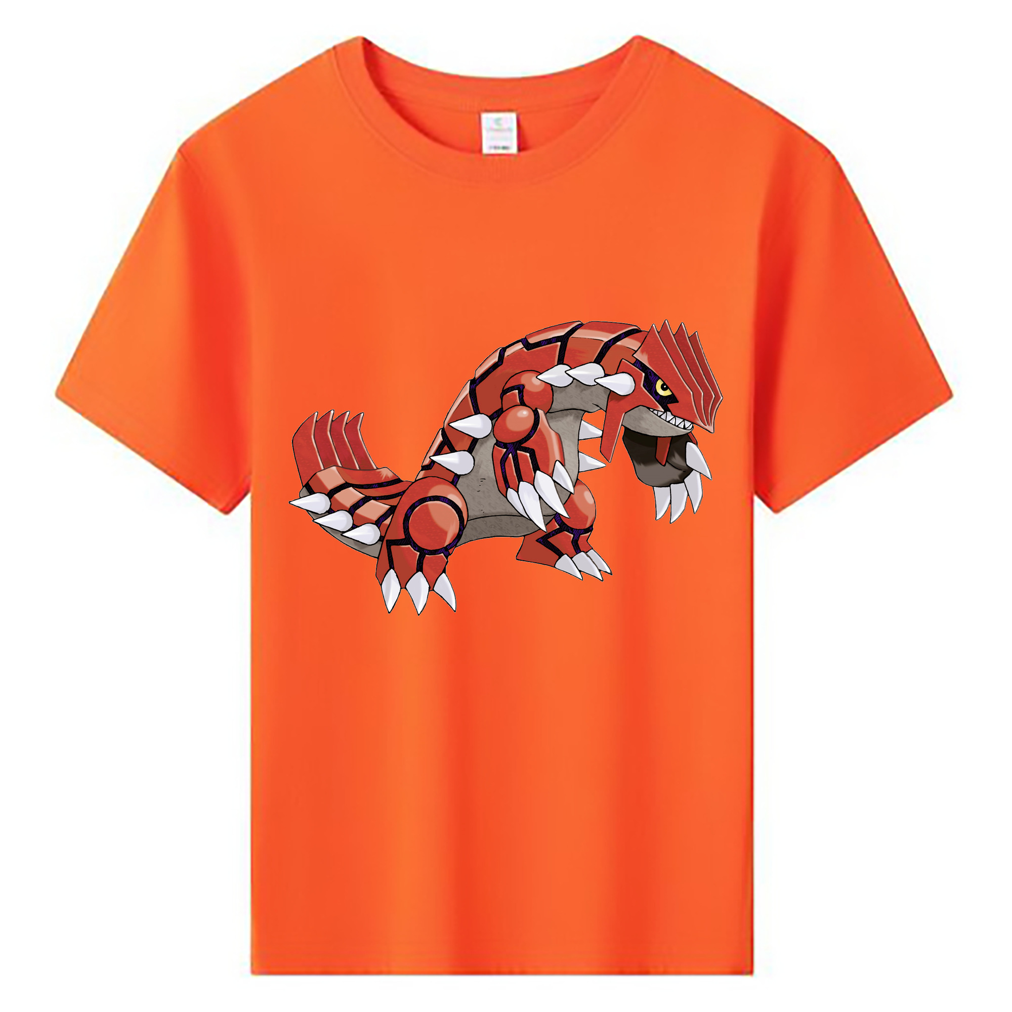 （画像用） ポケットモンスター Pokémon 綿100％キッズTシャツ（フロントプリント）