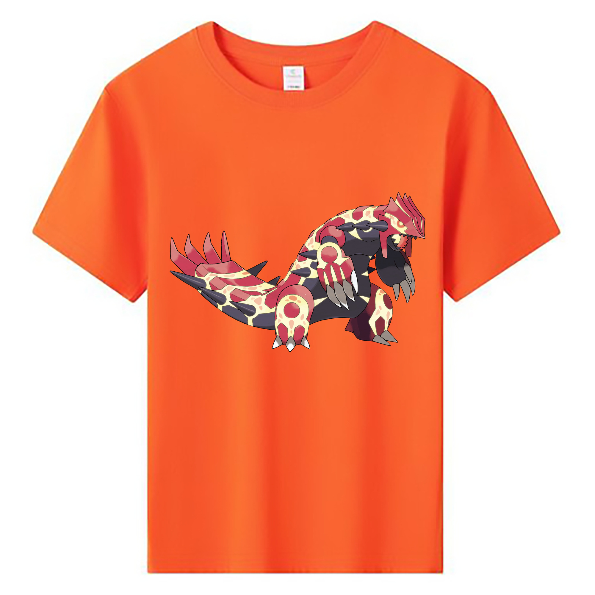 （画像用） ポケットモンスター Pokémon 綿100％キッズTシャツ（フロントプリント）