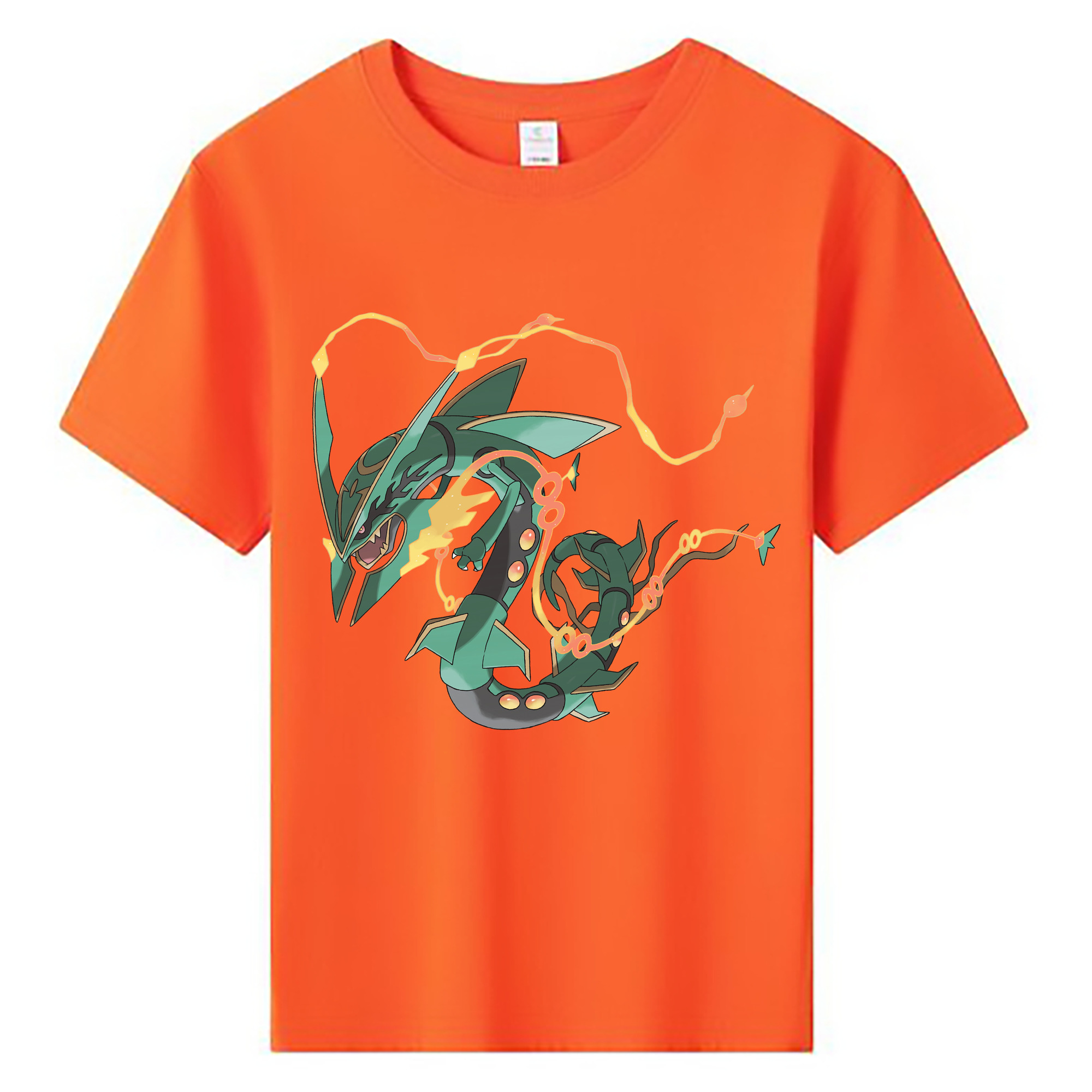 （画像用） ポケットモンスター Pokémon 綿100％キッズTシャツ（フロントプリント）