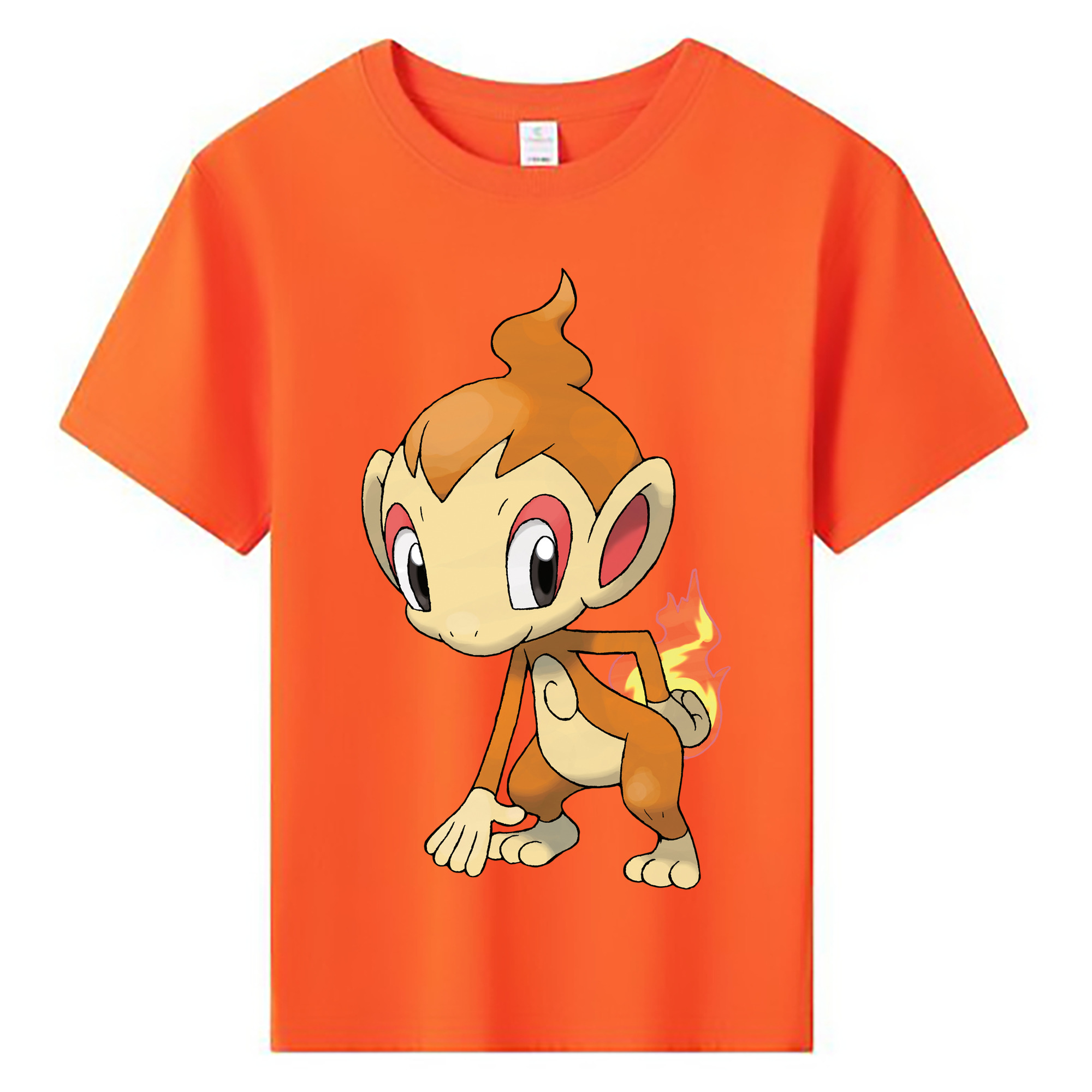 （画像用） ポケットモンスター Pokémon 綿100％キッズTシャツ（フロントプリント）