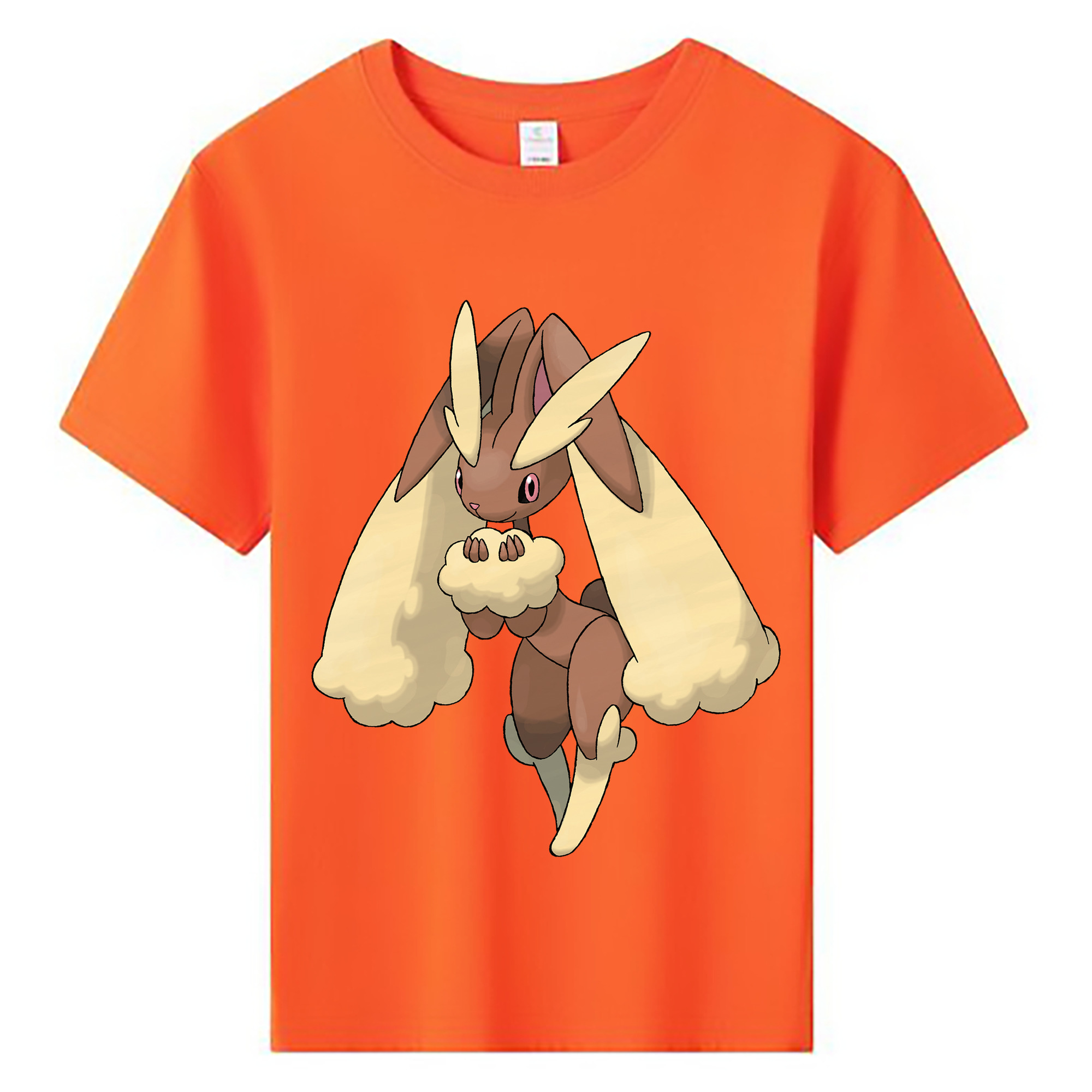 （画像用） ポケットモンスター Pokémon 綿100％キッズTシャツ（フロントプリント）