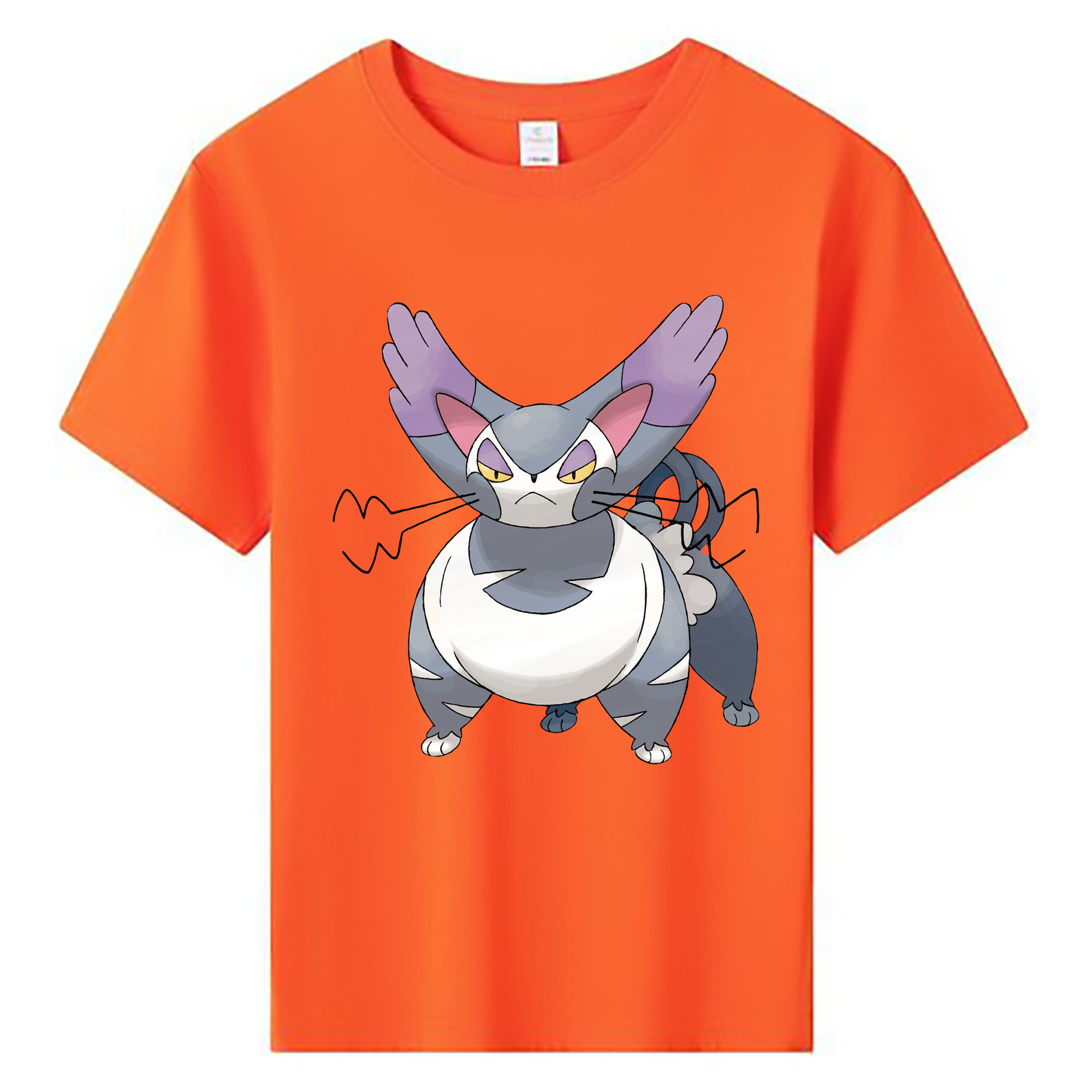 （画像用） ポケットモンスター Pokémon 綿100％キッズTシャツ（フロントプリント）