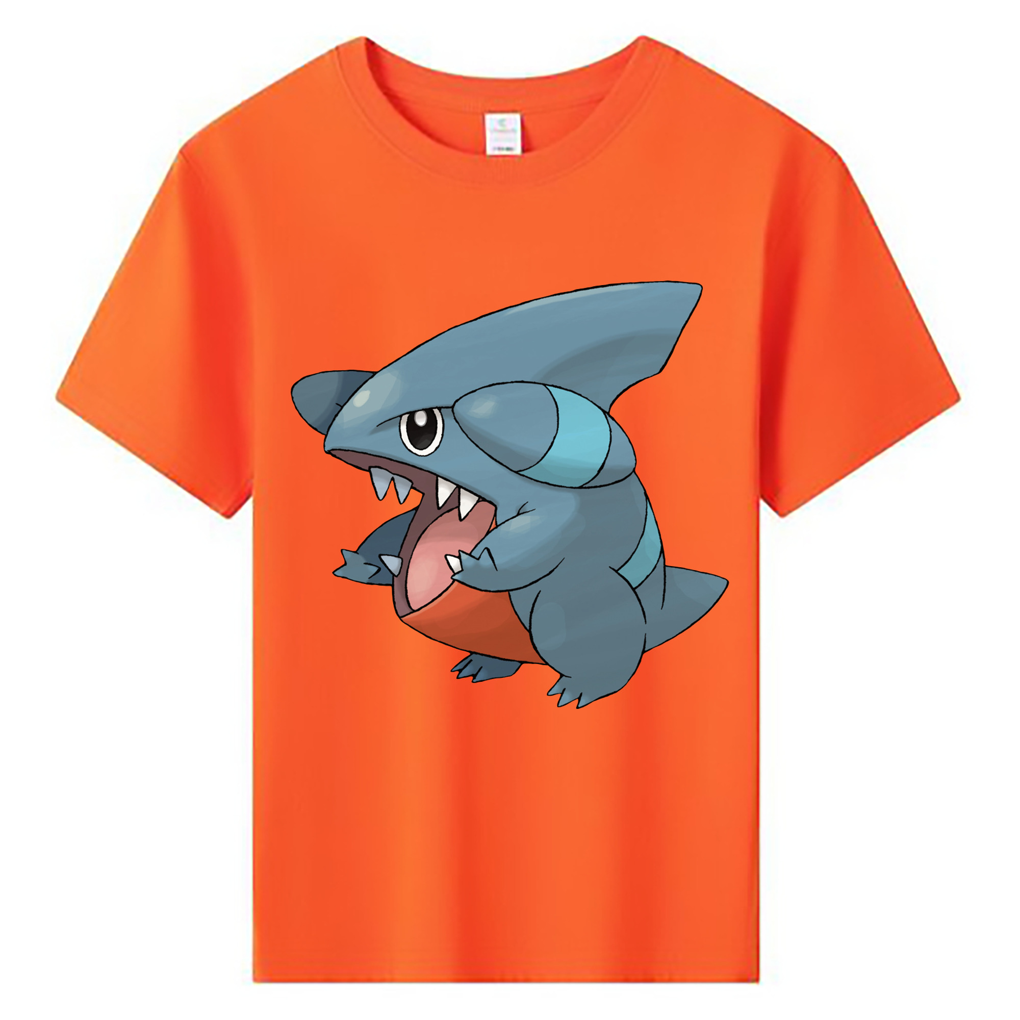 （画像用） ポケットモンスター Pokémon 綿100％キッズTシャツ（フロントプリント）
