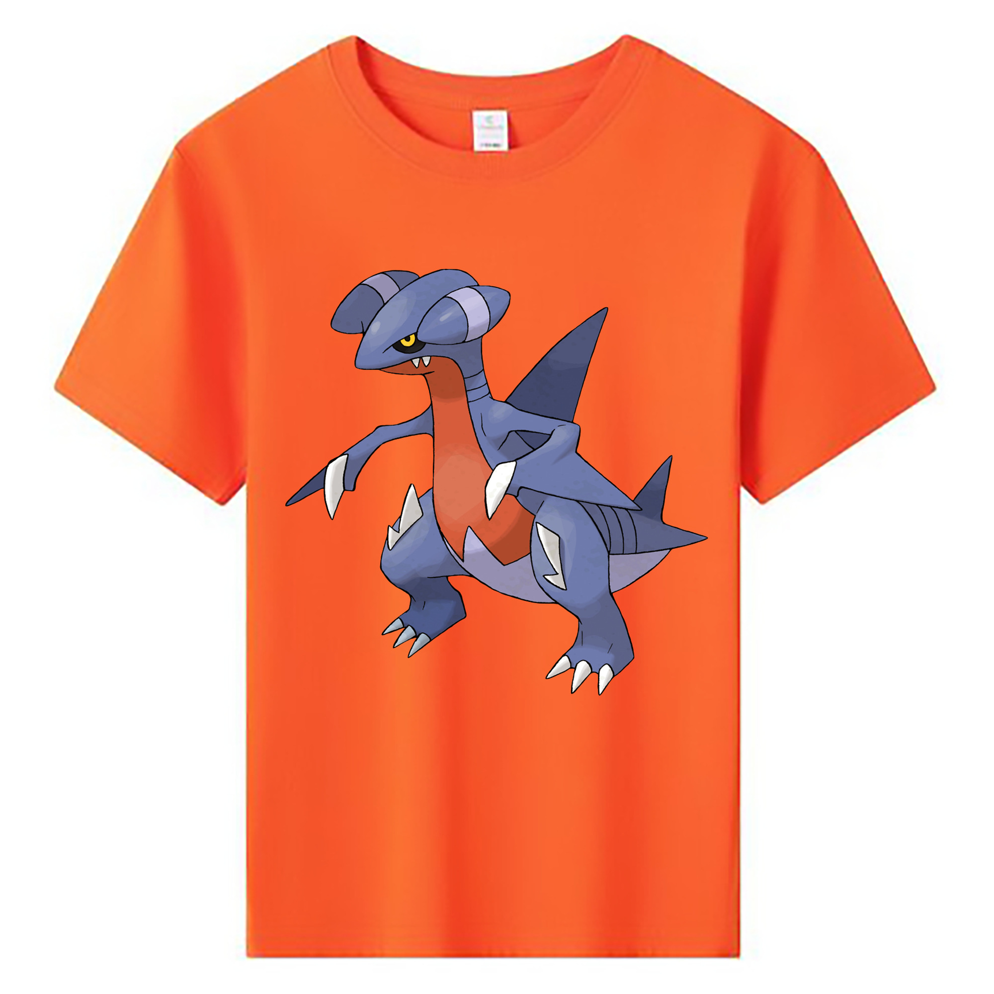 （画像用） ポケットモンスター Pokémon 綿100％キッズTシャツ（フロントプリント）