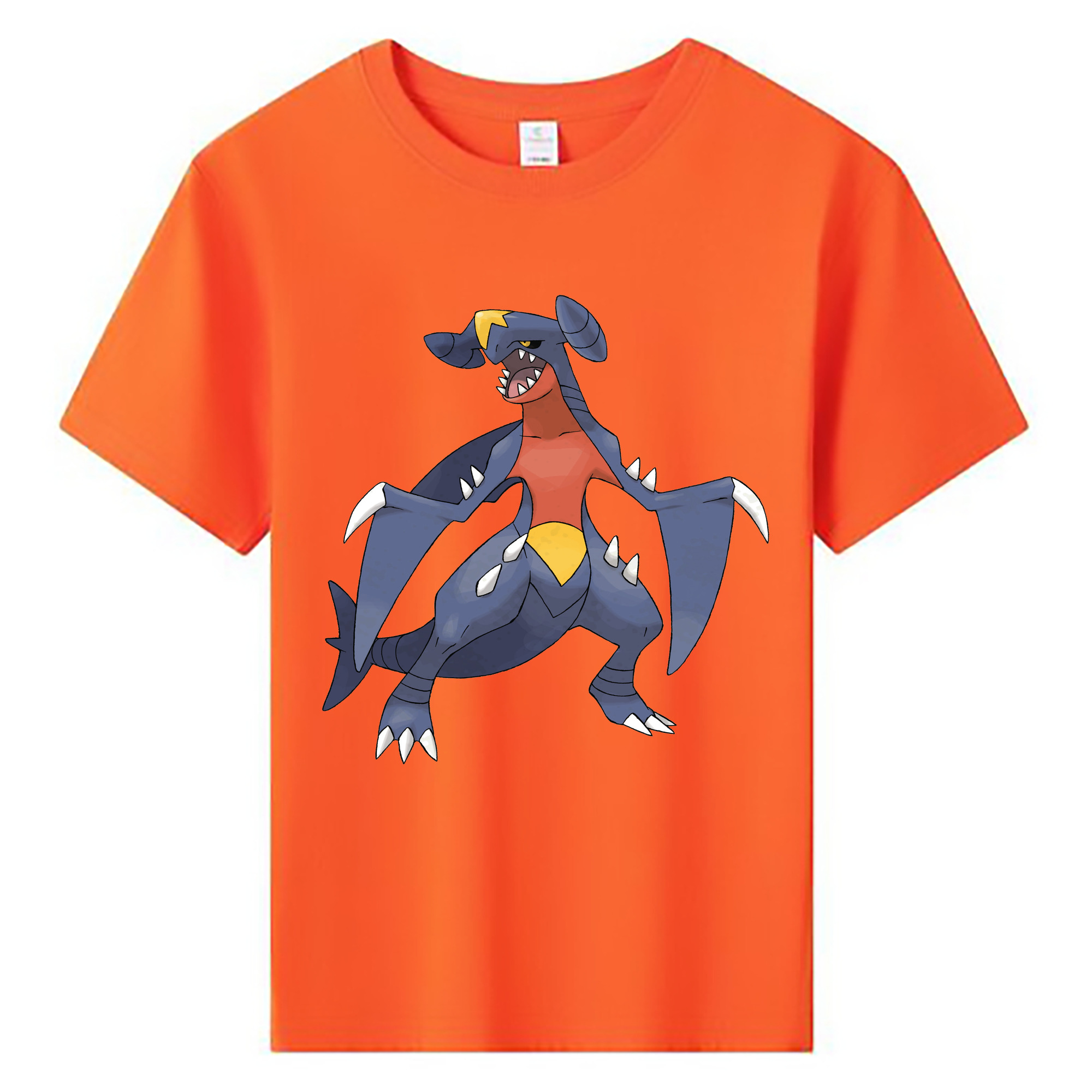 （画像用） ポケットモンスター Pokémon 綿100％キッズTシャツ（フロントプリント）