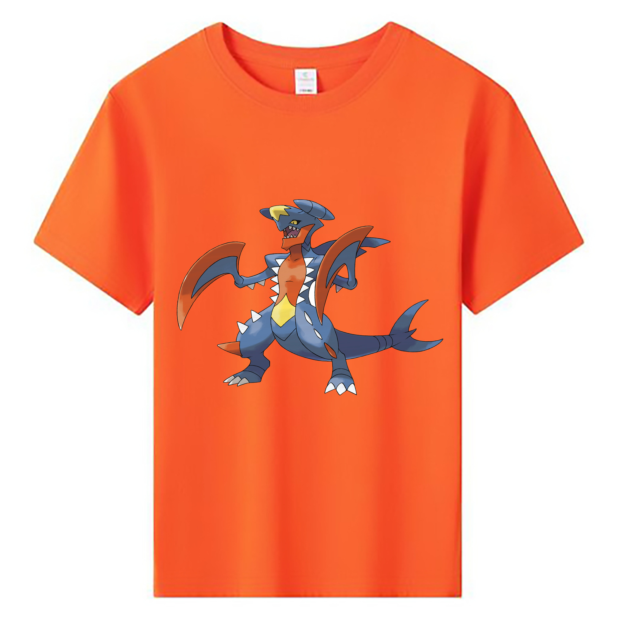 （画像用） ポケットモンスター Pokémon 綿100％キッズTシャツ（フロントプリント）