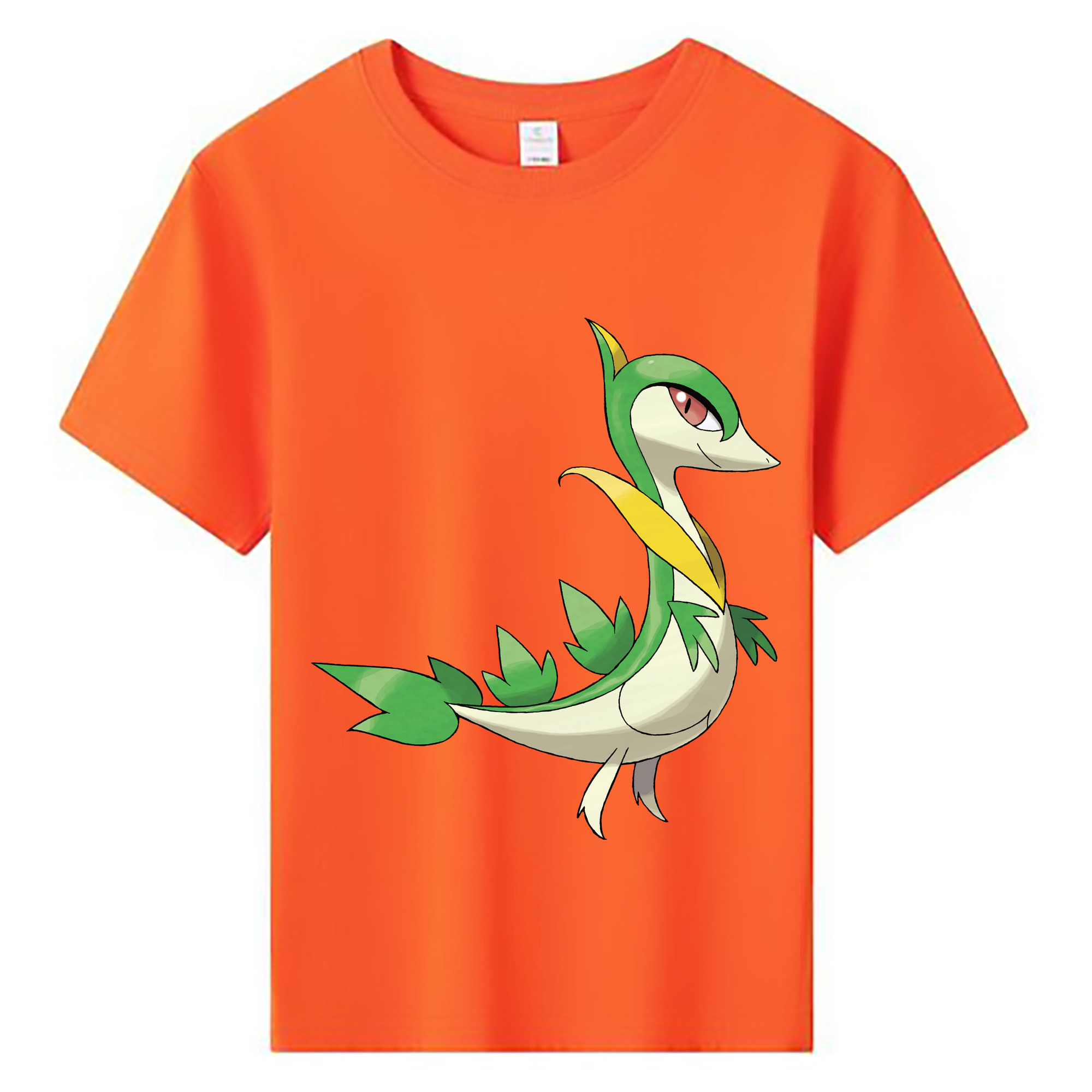 （画像用） ポケットモンスター Pokémon 綿100％キッズTシャツ（フロントプリント）