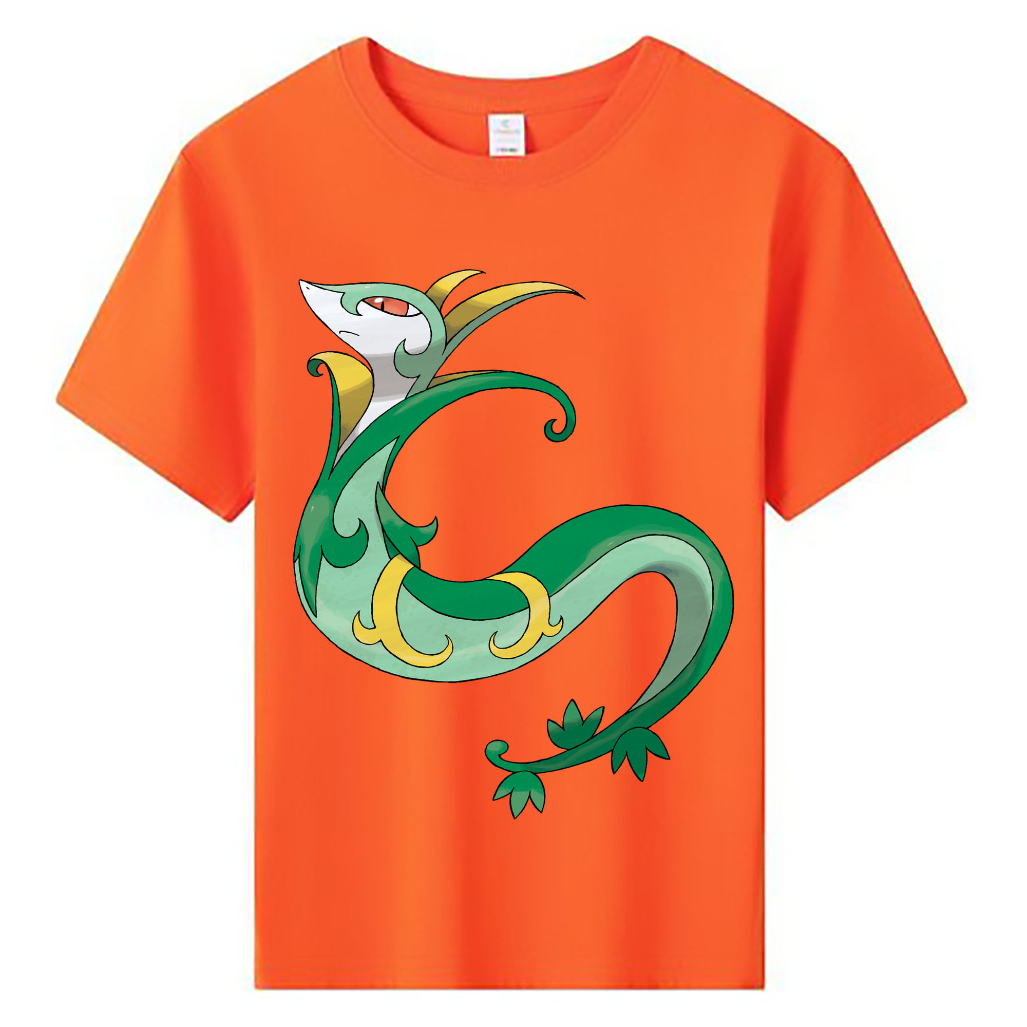 （画像用） ポケットモンスター Pokémon 綿100％キッズTシャツ（フロントプリント）