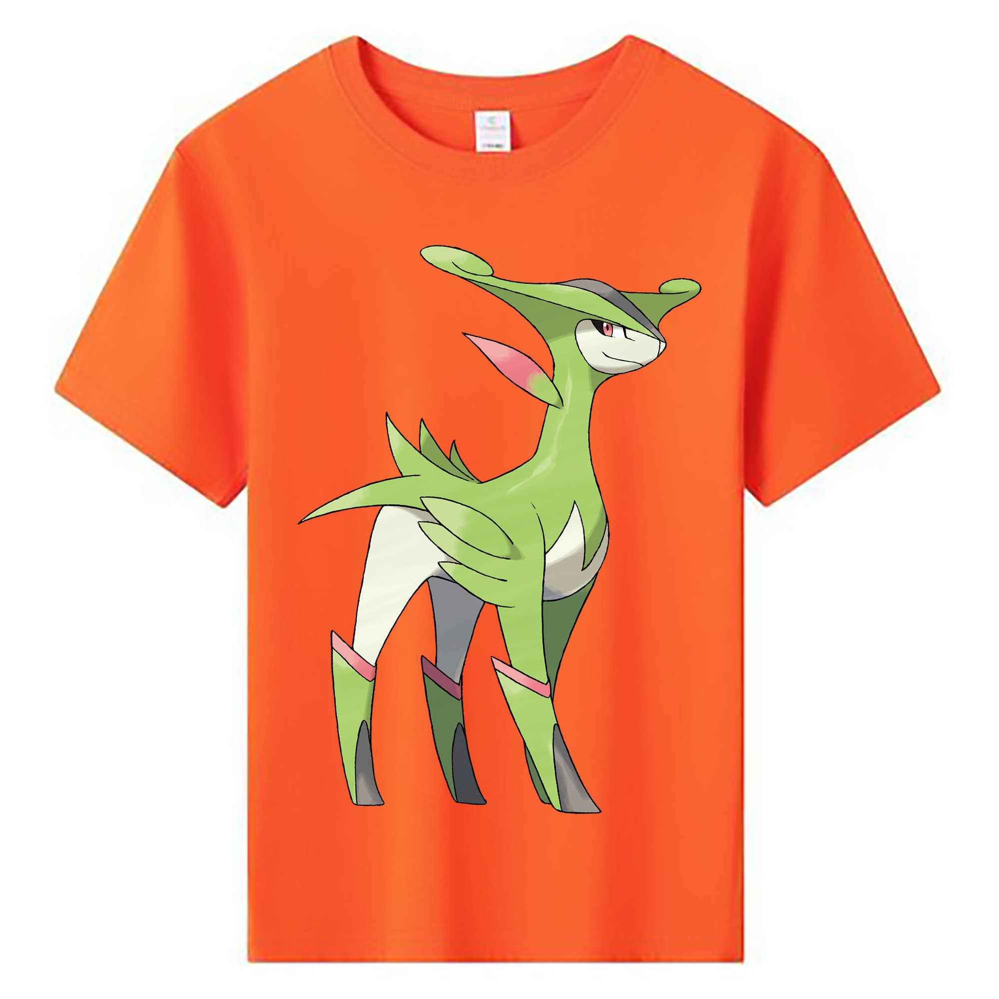 （画像用） ポケットモンスター Pokémon 綿100％キッズTシャツ（フロントプリント）