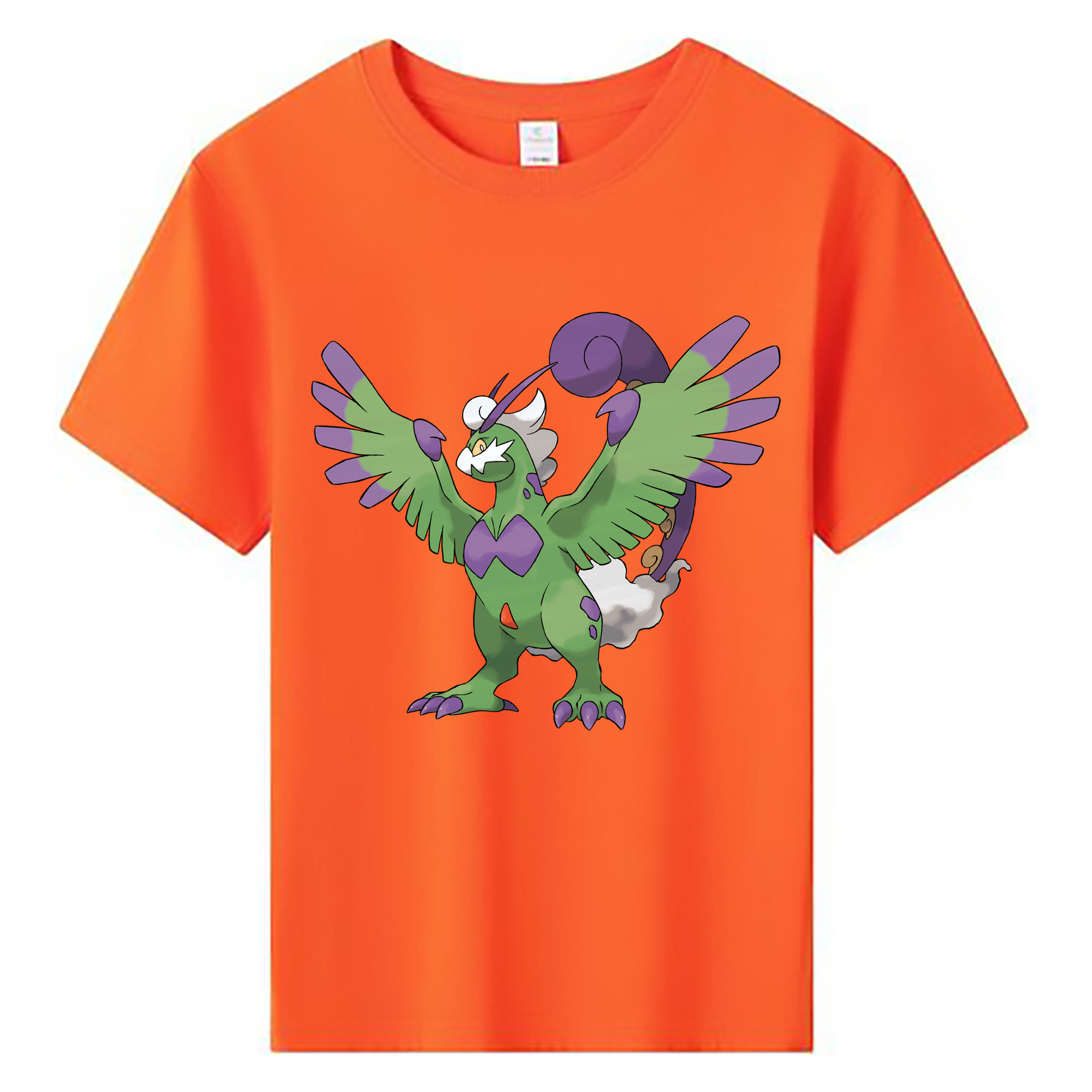 （画像用） ポケットモンスター Pokémon 綿100％キッズTシャツ（フロントプリント）