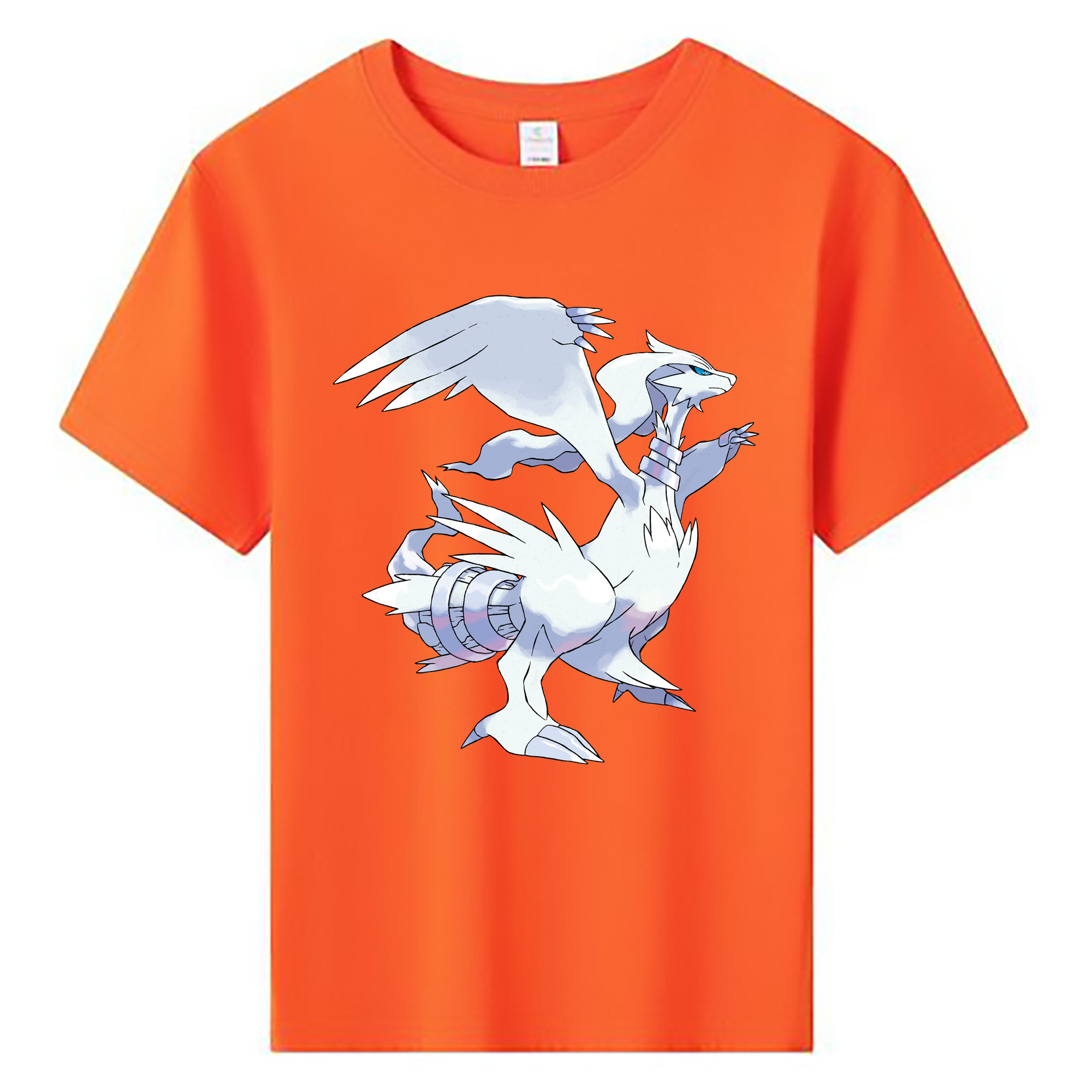 （画像用） ポケットモンスター Pokémon 綿100％キッズTシャツ（フロントプリント）