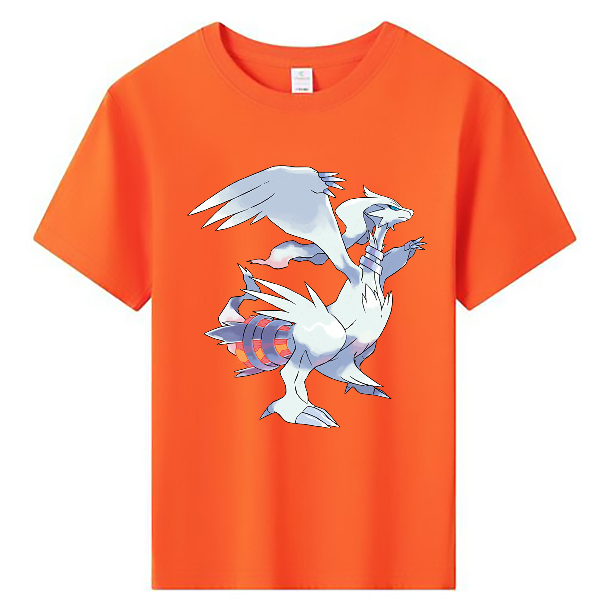 （画像用） ポケットモンスター Pokémon 綿100％キッズTシャツ（フロントプリント）