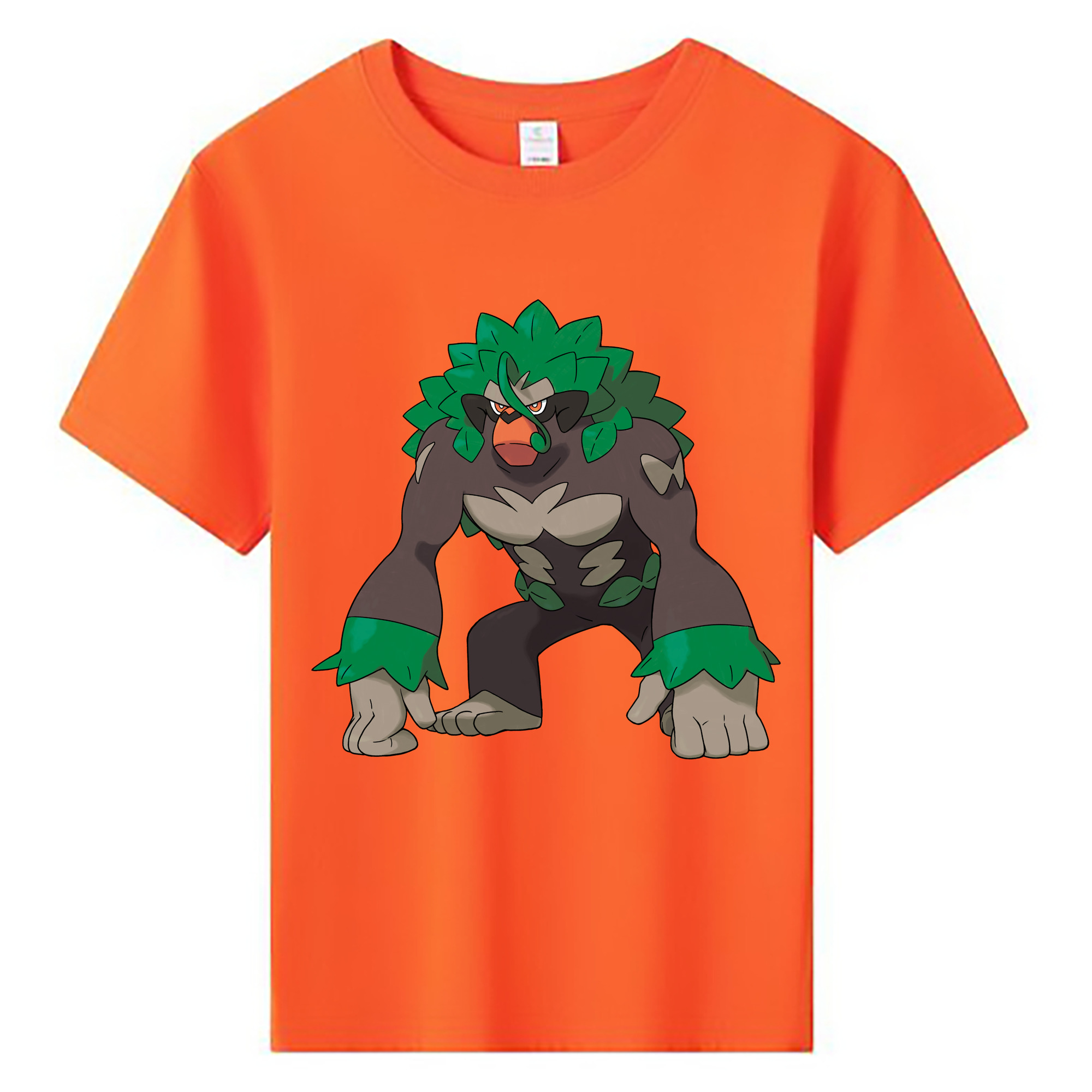 （画像用） ポケットモンスター Pokémon 綿100％キッズTシャツ（フロントプリント）