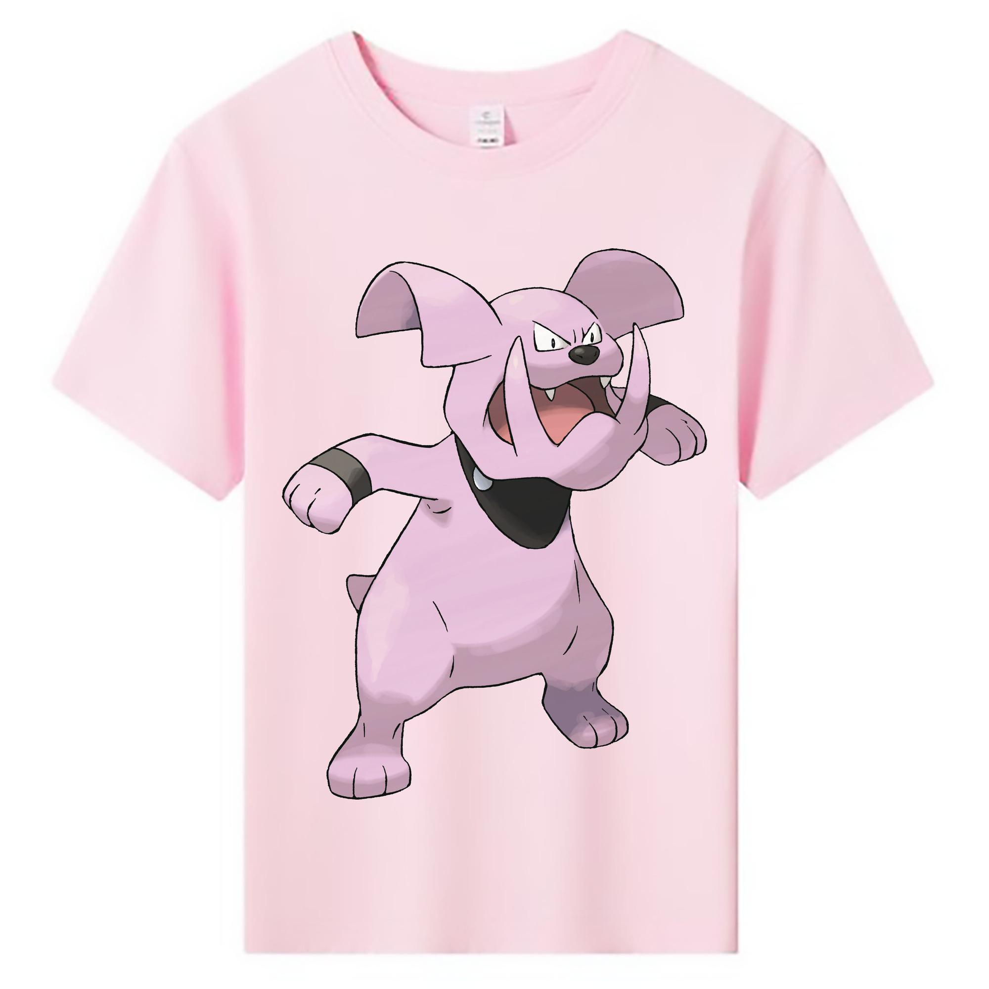 （画像用） ポケットモンスター Pokémon 綿100％キッズTシャツ（フロントプリント）