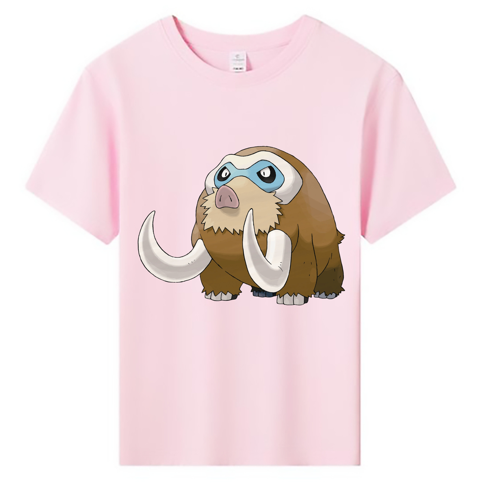 （画像用） ポケットモンスター Pokémon 綿100％キッズTシャツ（フロントプリント）