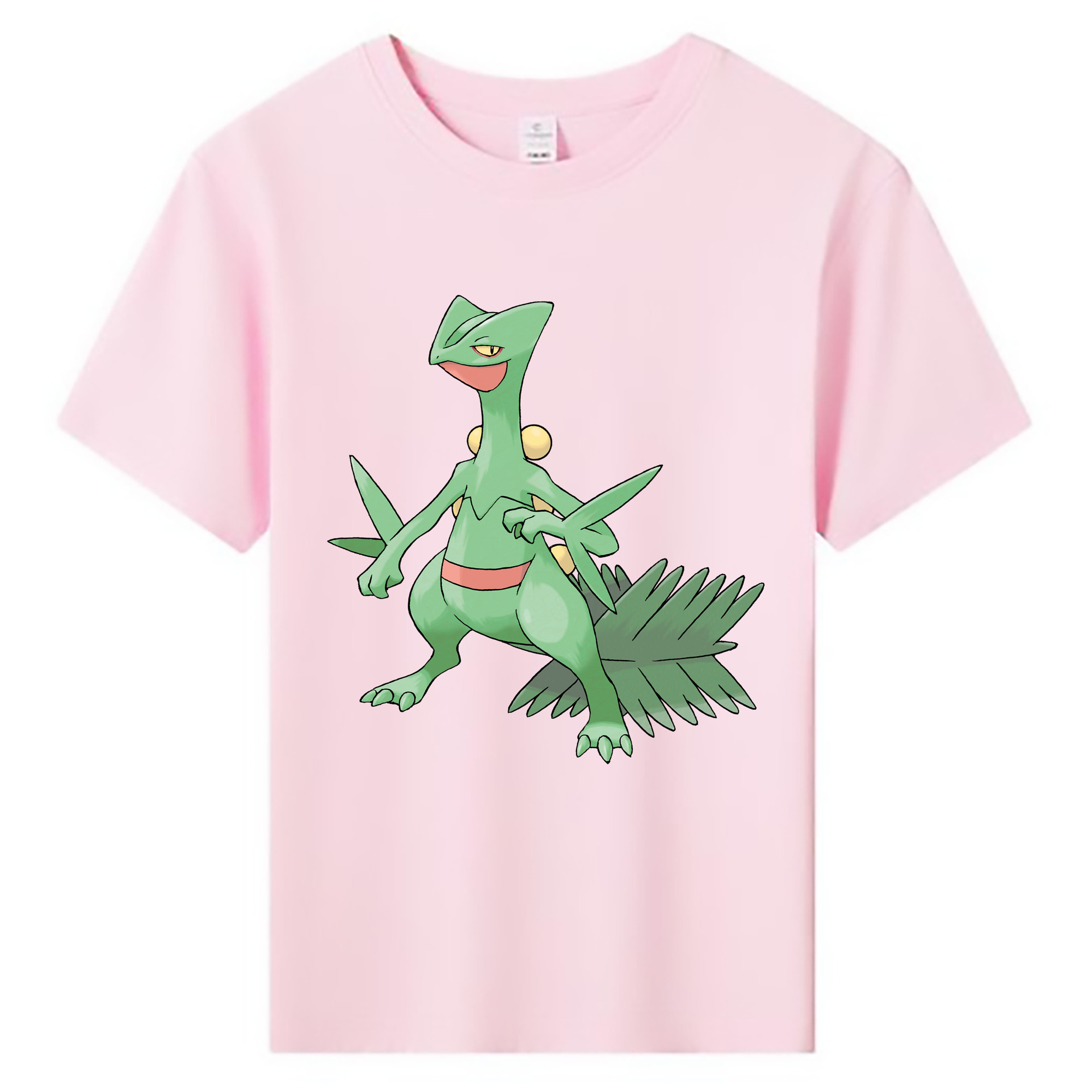 （画像用） ポケットモンスター Pokémon 綿100％キッズTシャツ（フロントプリント）
