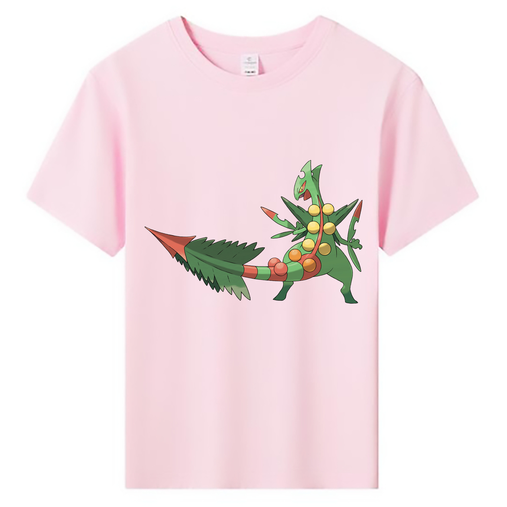 （画像用） ポケットモンスター Pokémon 綿100％キッズTシャツ（フロントプリント）
