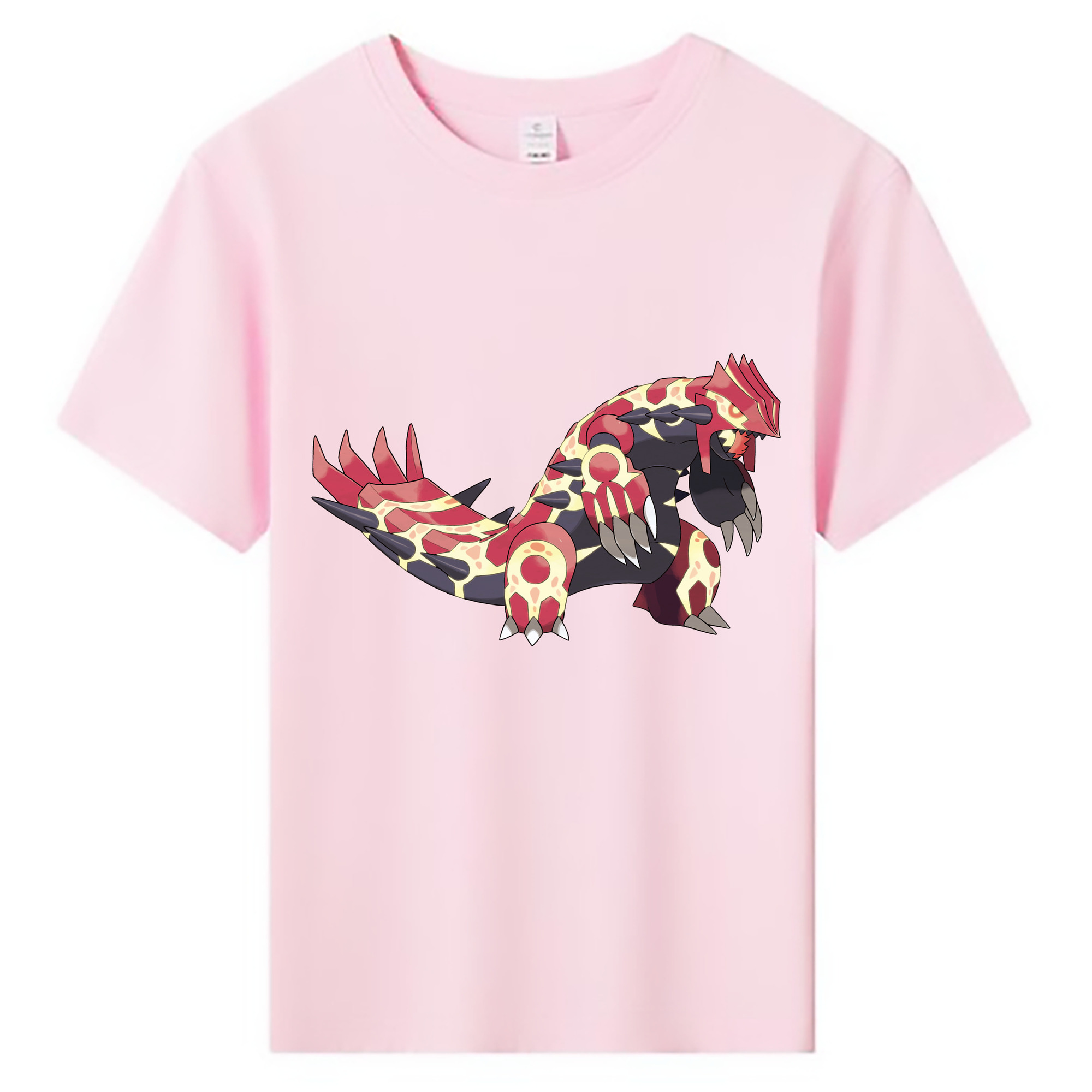 （画像用） ポケットモンスター Pokémon 綿100％キッズTシャツ（フロントプリント）