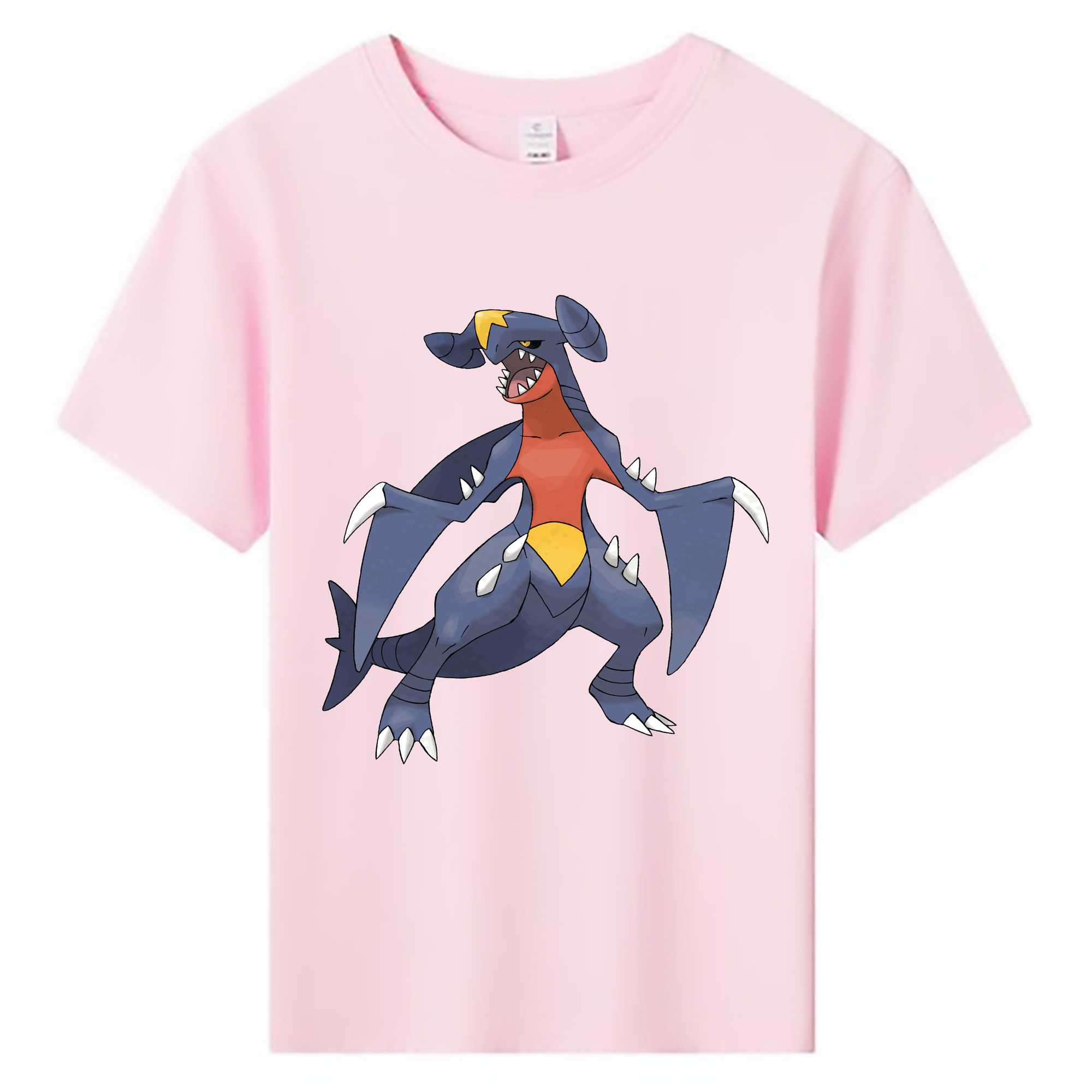 （画像用） ポケットモンスター Pokémon 綿100％キッズTシャツ（フロントプリント）