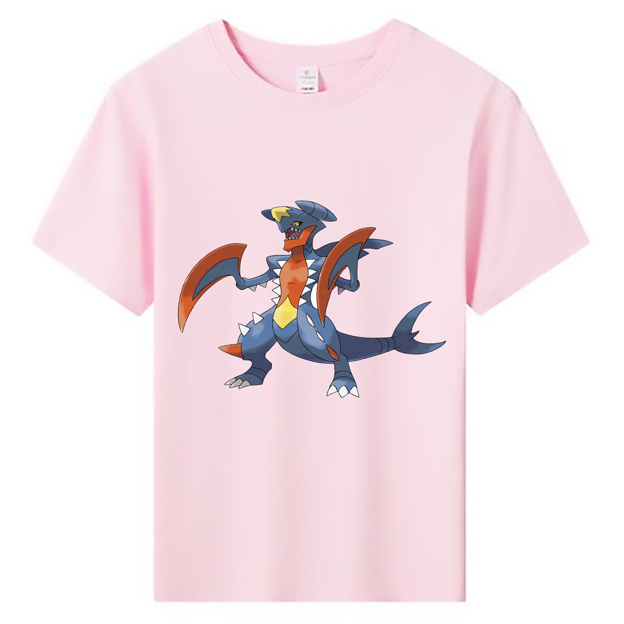 （画像用） ポケットモンスター Pokémon 綿100％キッズTシャツ（フロントプリント）