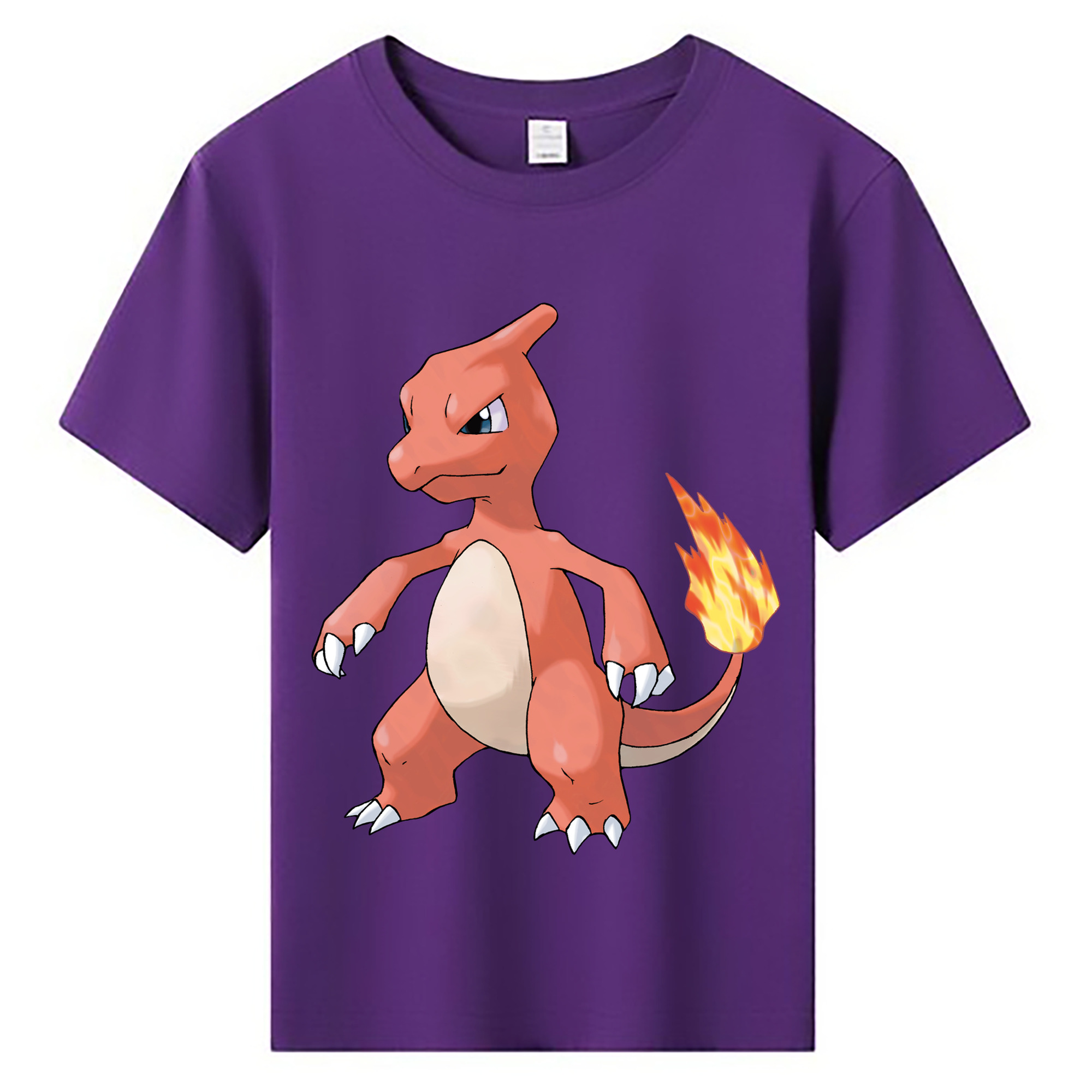 （画像用） ポケットモンスター Pokémon 綿100％キッズTシャツ（フロントプリント）
