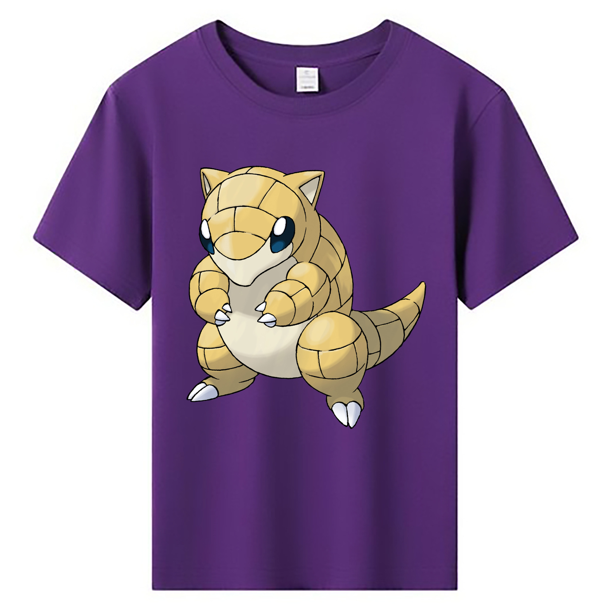 （画像用） ポケットモンスター Pokémon 綿100％キッズTシャツ（フロントプリント）