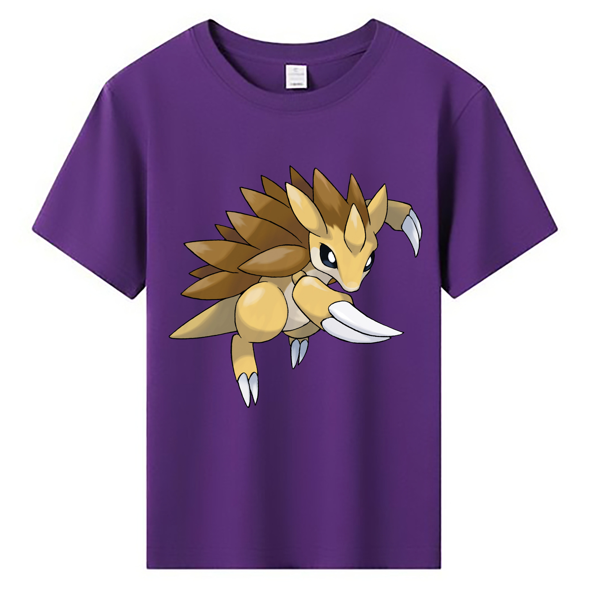 （画像用） ポケットモンスター Pokémon 綿100％キッズTシャツ（フロントプリント）