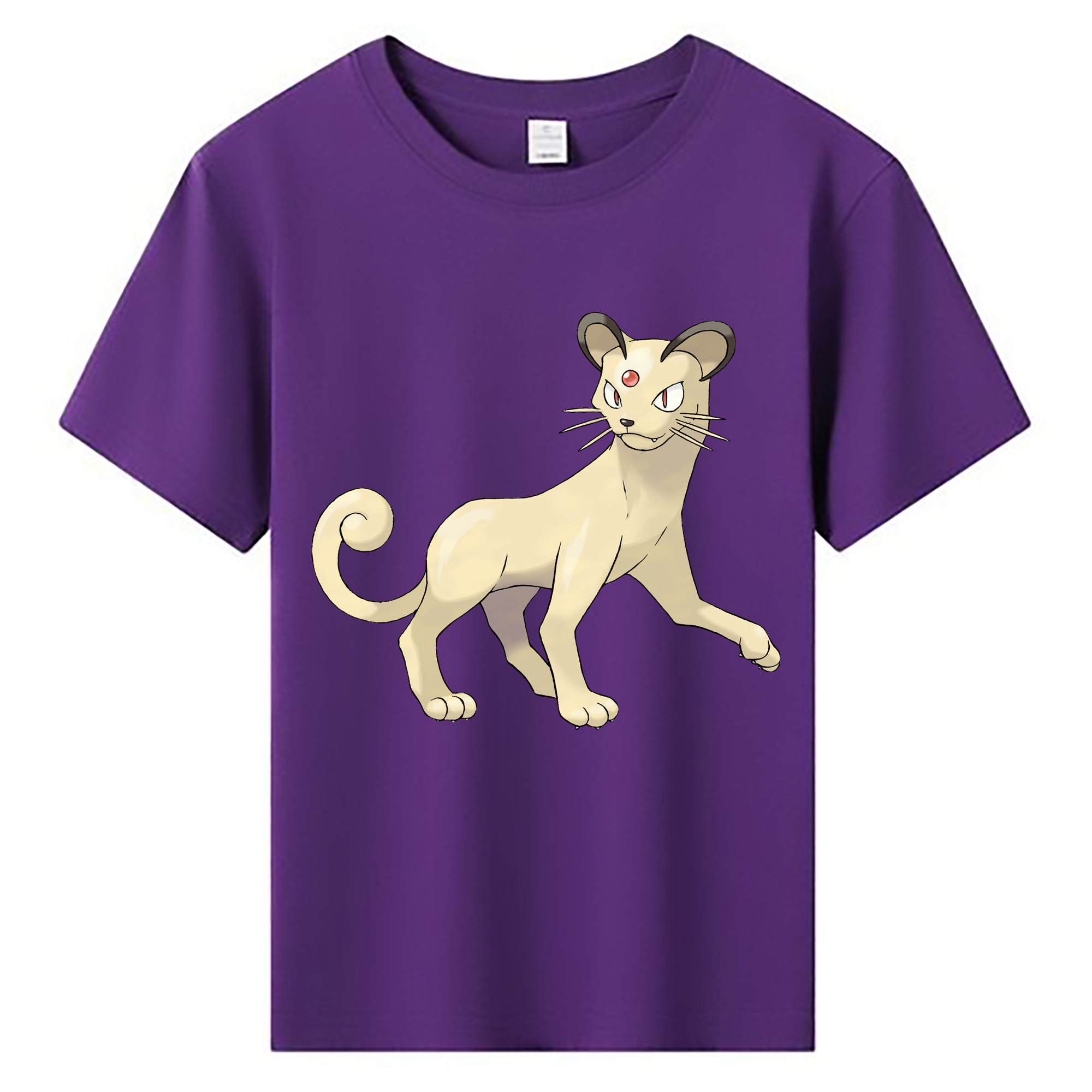（画像用） ポケットモンスター Pokémon 綿100％キッズTシャツ（フロントプリント）