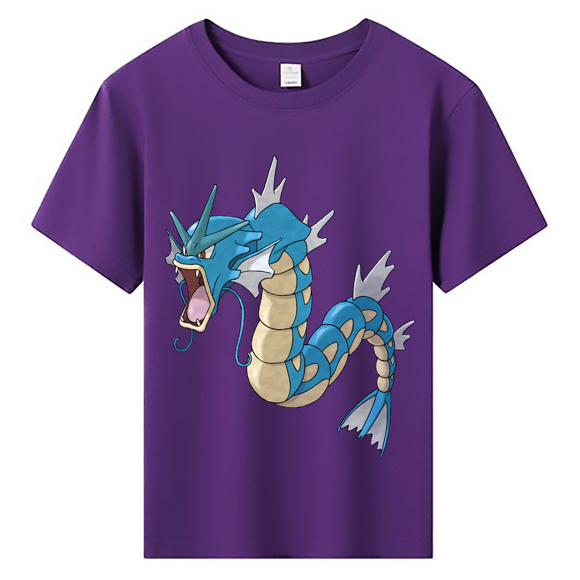 （画像用） ポケットモンスター Pokémon 綿100％キッズTシャツ（フロントプリント）