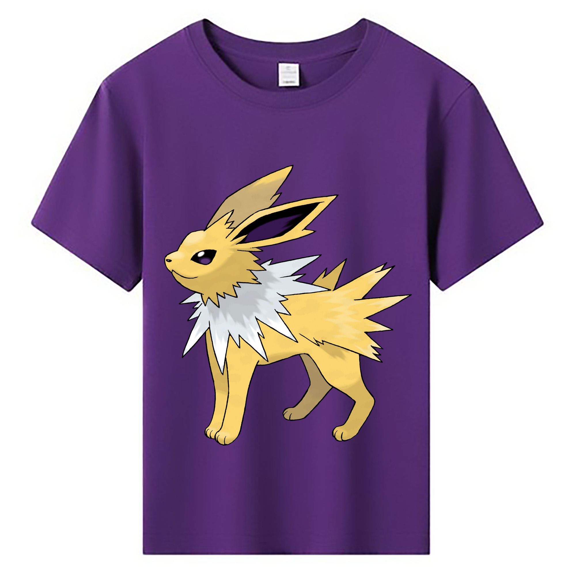 （画像用） ポケットモンスター Pokémon 綿100％キッズTシャツ（フロントプリント）