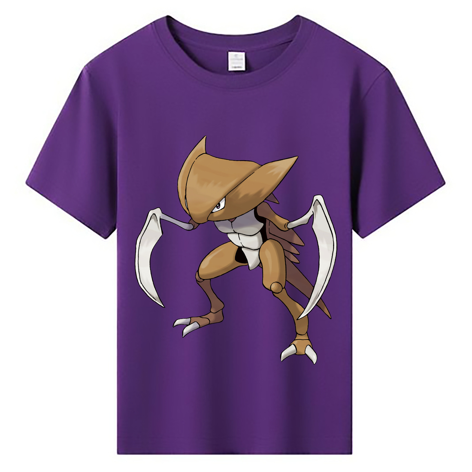 （画像用） ポケットモンスター Pokémon 綿100％キッズTシャツ（フロントプリント）