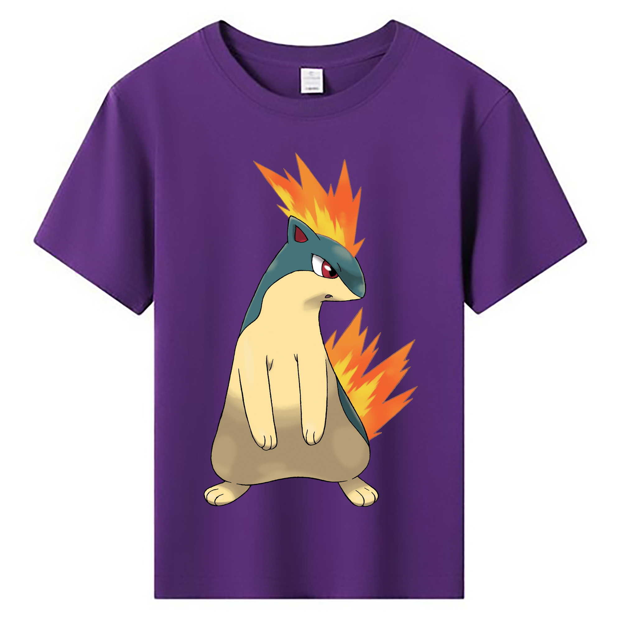 （画像用） ポケットモンスター Pokémon 綿100％キッズTシャツ（フロントプリント）