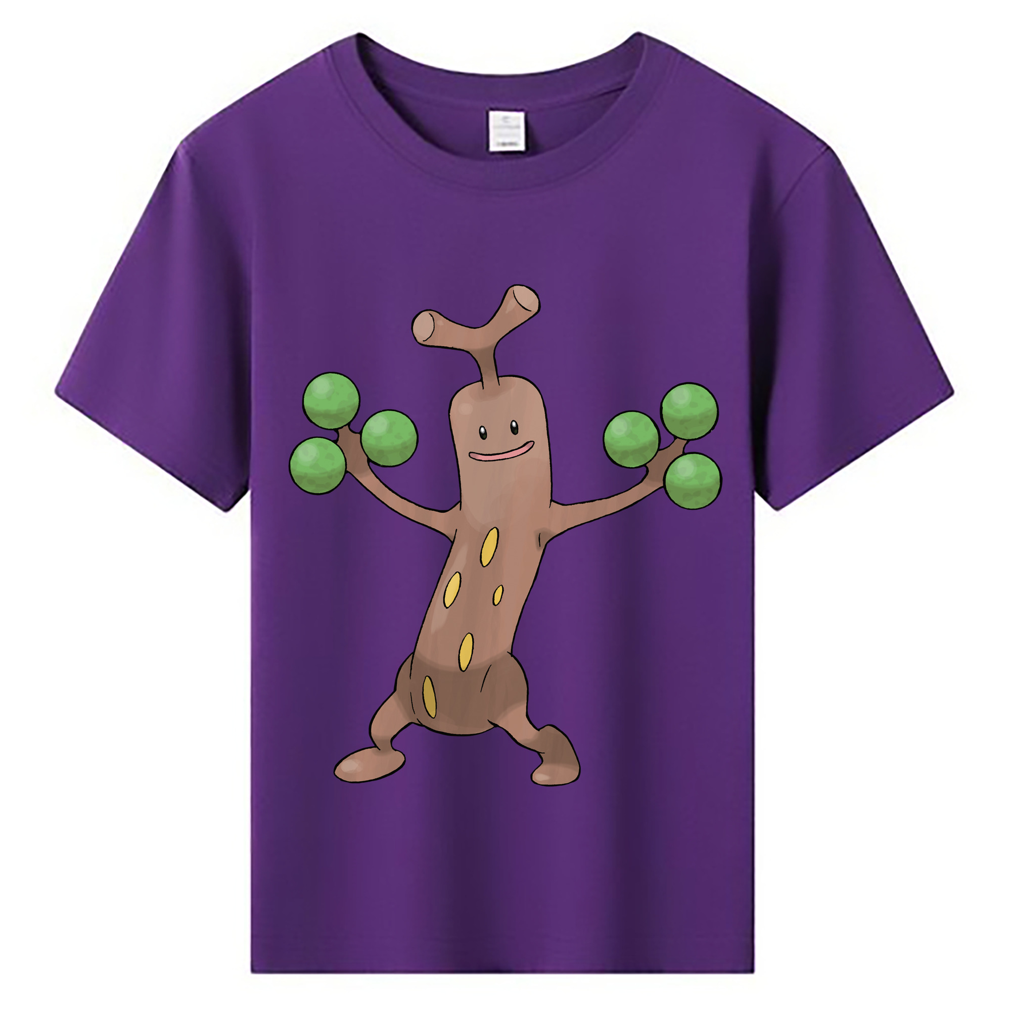 （画像用） ポケットモンスター Pokémon 綿100％キッズTシャツ（フロントプリント）