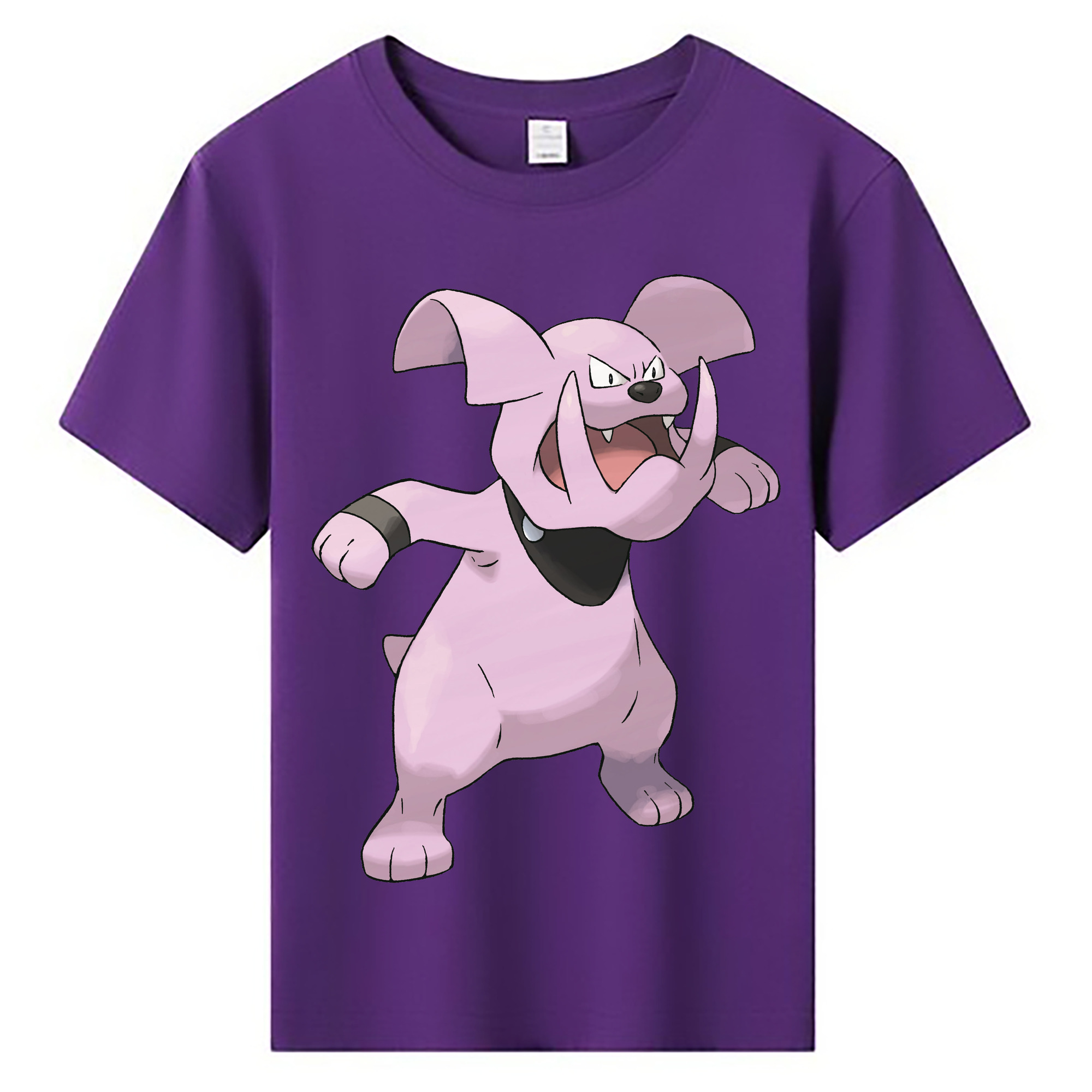 （画像用） ポケットモンスター Pokémon 綿100％キッズTシャツ（フロントプリント）