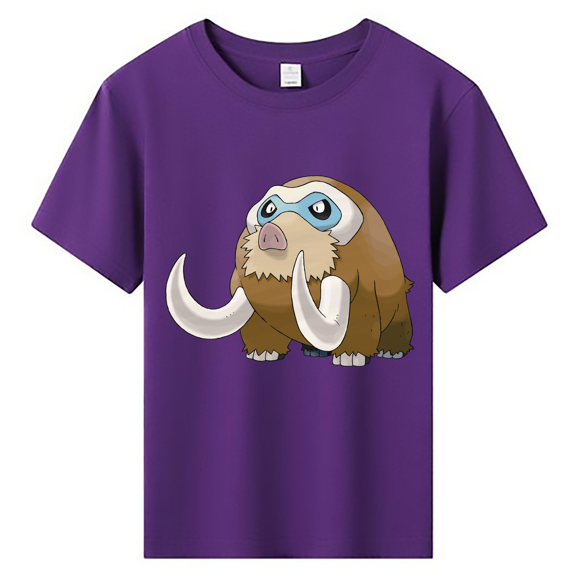 （画像用） ポケットモンスター Pokémon 綿100％キッズTシャツ（フロントプリント）