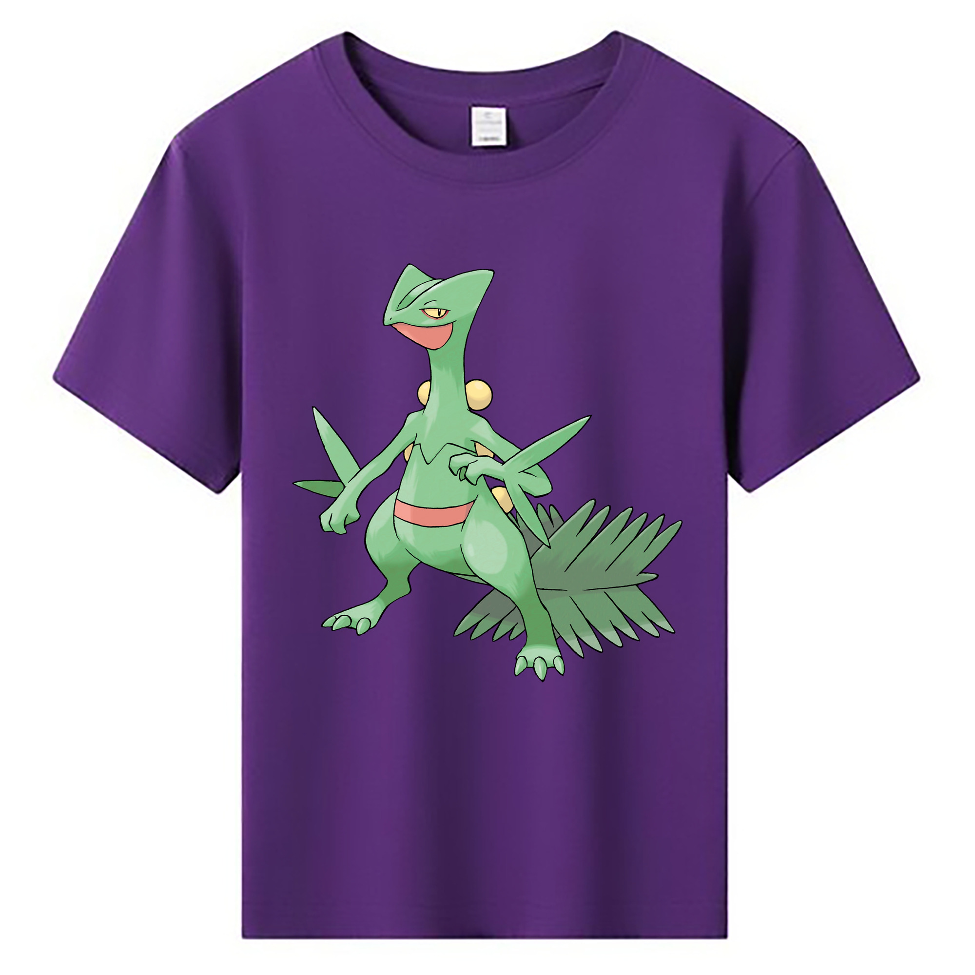 （画像用） ポケットモンスター Pokémon 綿100％キッズTシャツ（フロントプリント）