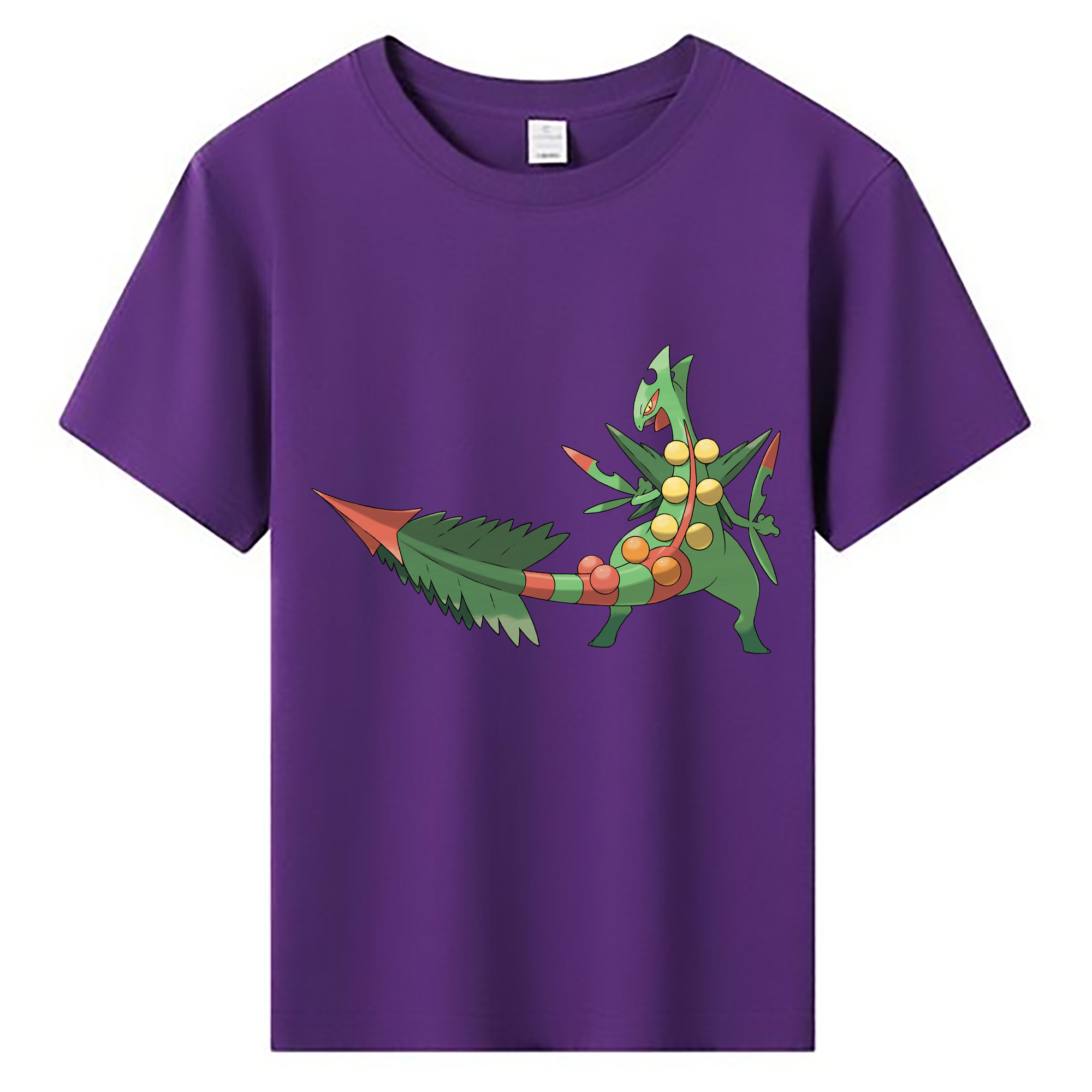 （画像用） ポケットモンスター Pokémon 綿100％キッズTシャツ（フロントプリント）