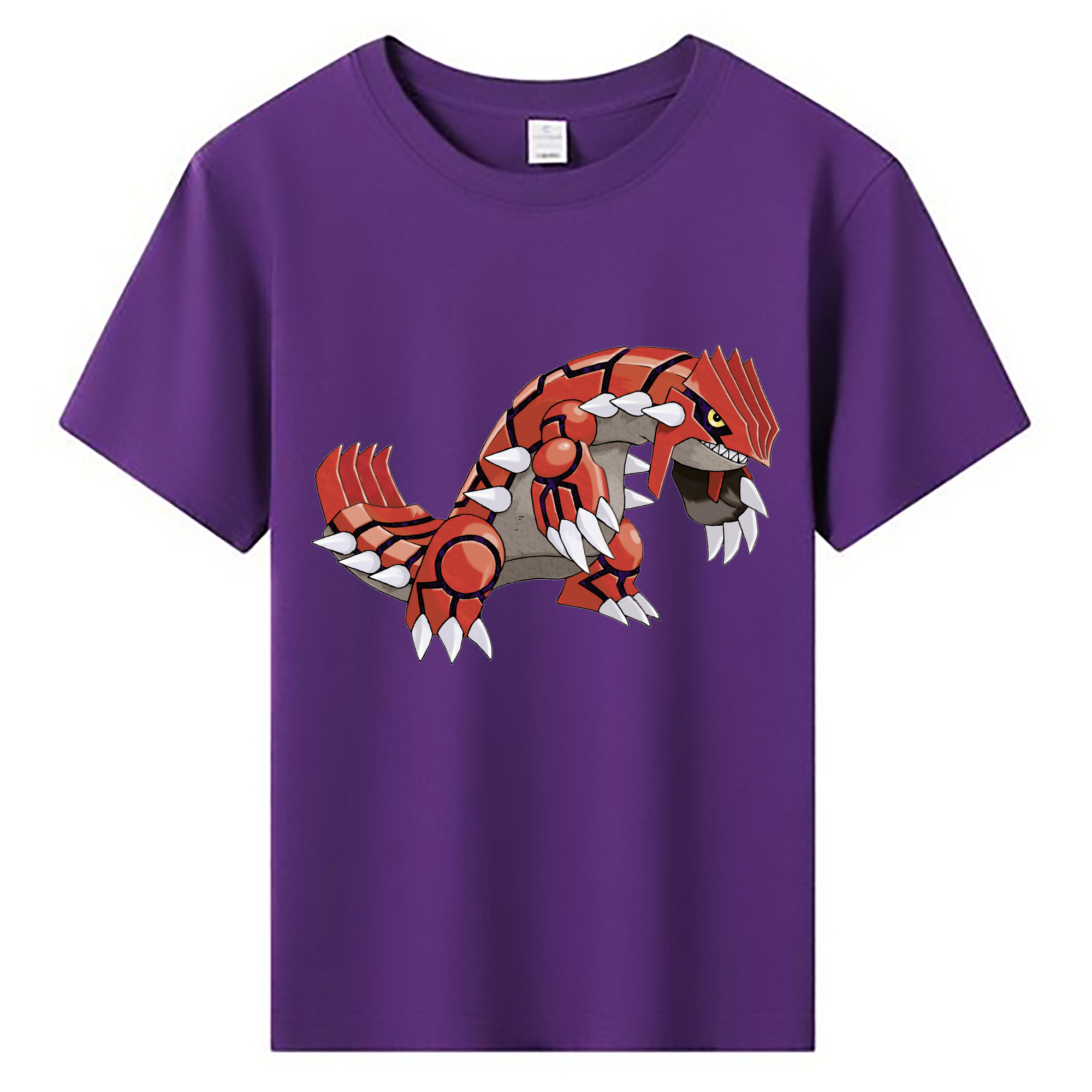 （画像用） ポケットモンスター Pokémon 綿100％キッズTシャツ（フロントプリント）
