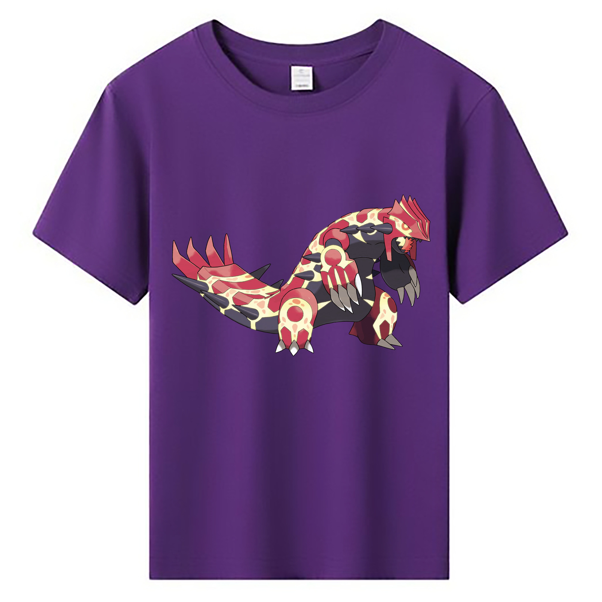 （画像用） ポケットモンスター Pokémon 綿100％キッズTシャツ（フロントプリント）