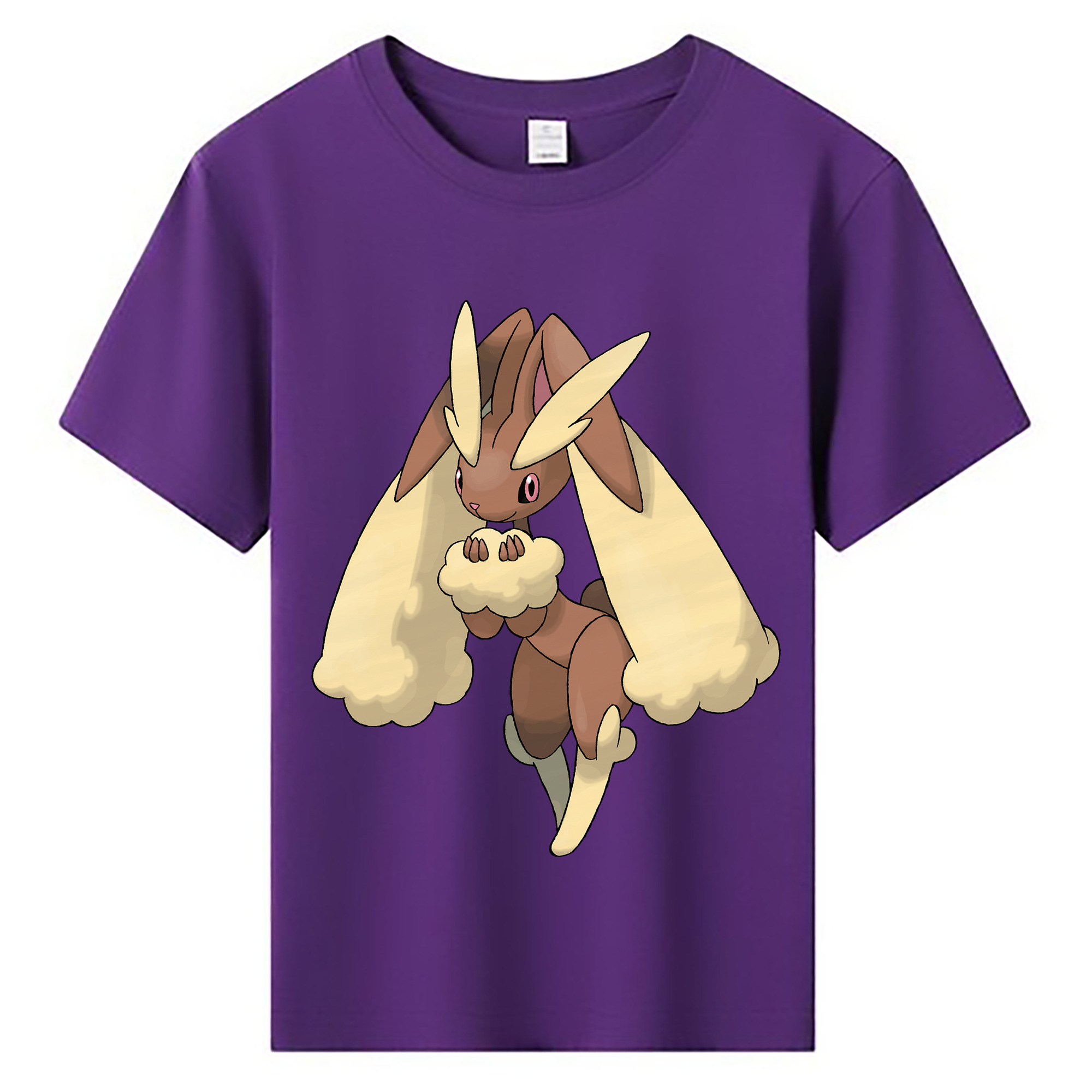 （画像用） ポケットモンスター Pokémon 綿100％キッズTシャツ（フロントプリント）
