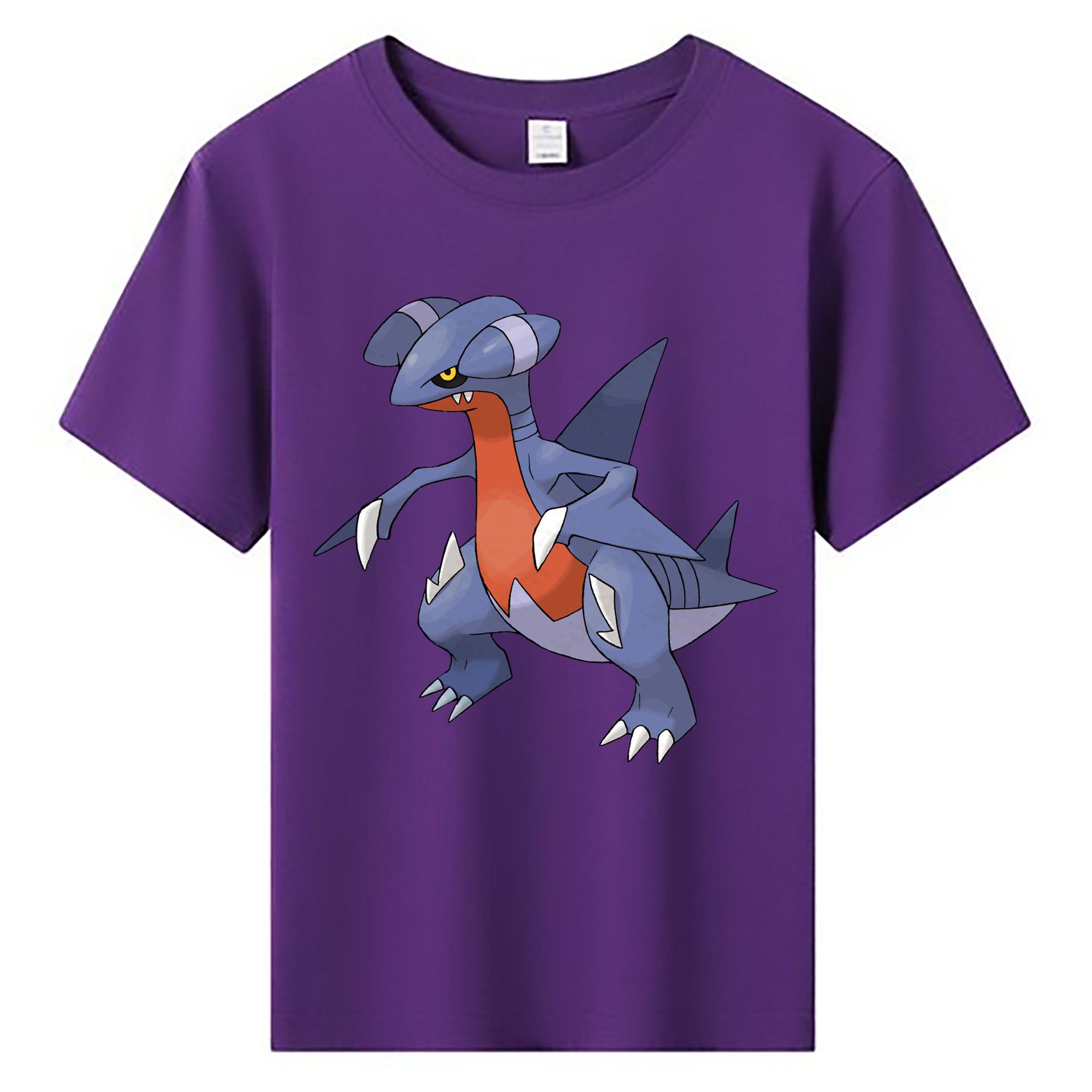 （画像用） ポケットモンスター Pokémon 綿100％キッズTシャツ（フロントプリント）