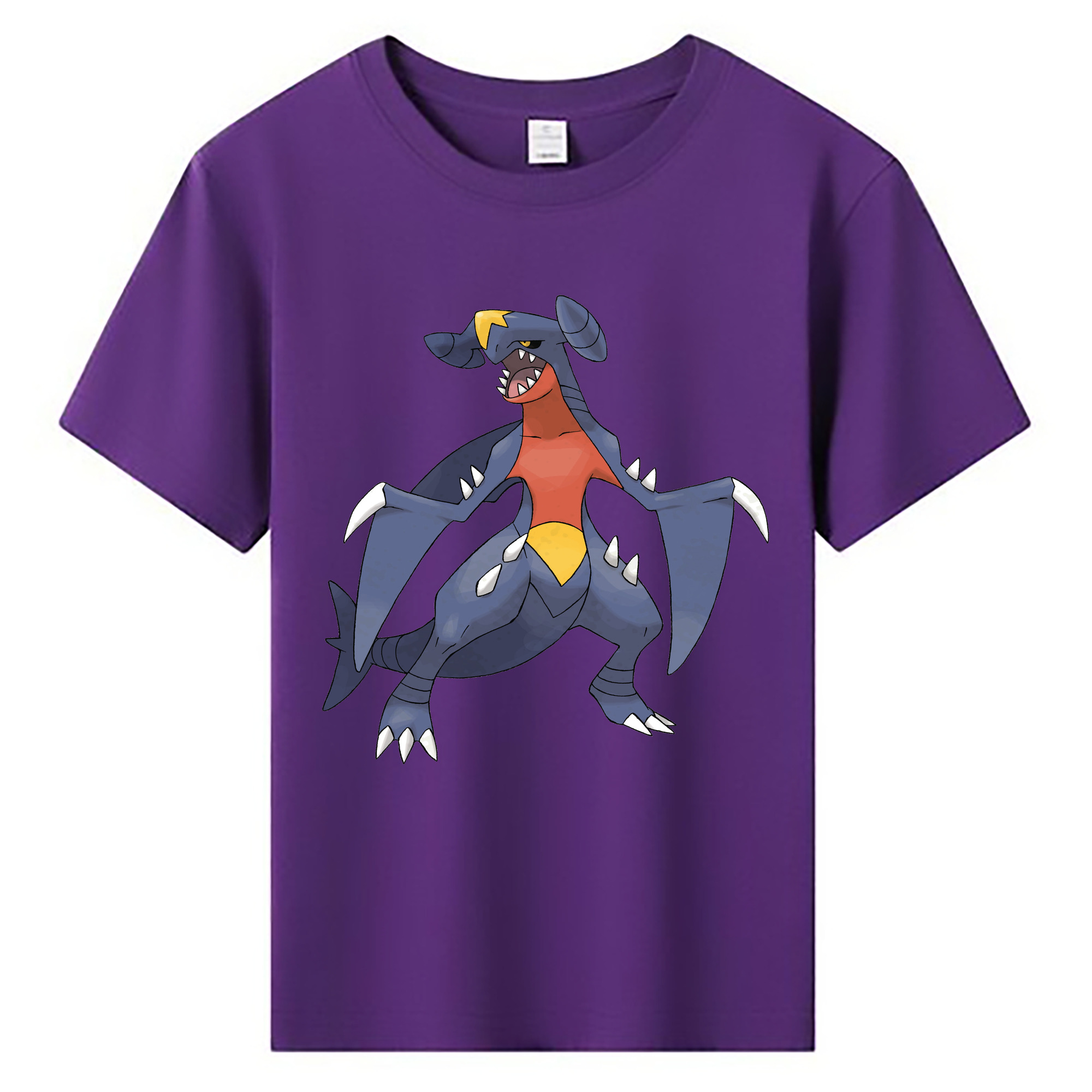 （画像用） ポケットモンスター Pokémon 綿100％キッズTシャツ（フロントプリント）