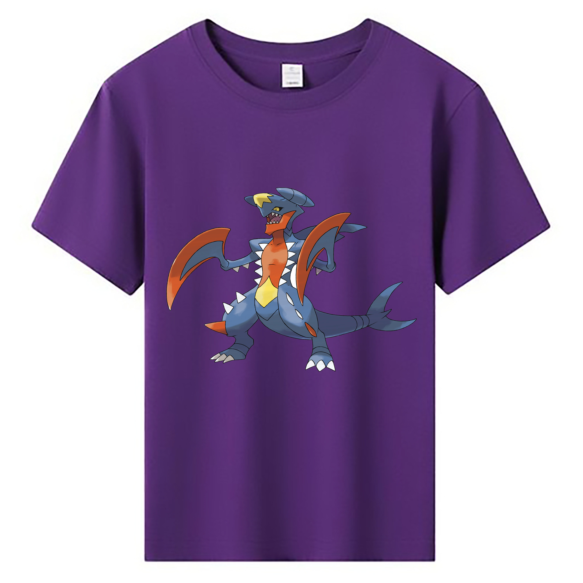 （画像用） ポケットモンスター Pokémon 綿100％キッズTシャツ（フロントプリント）